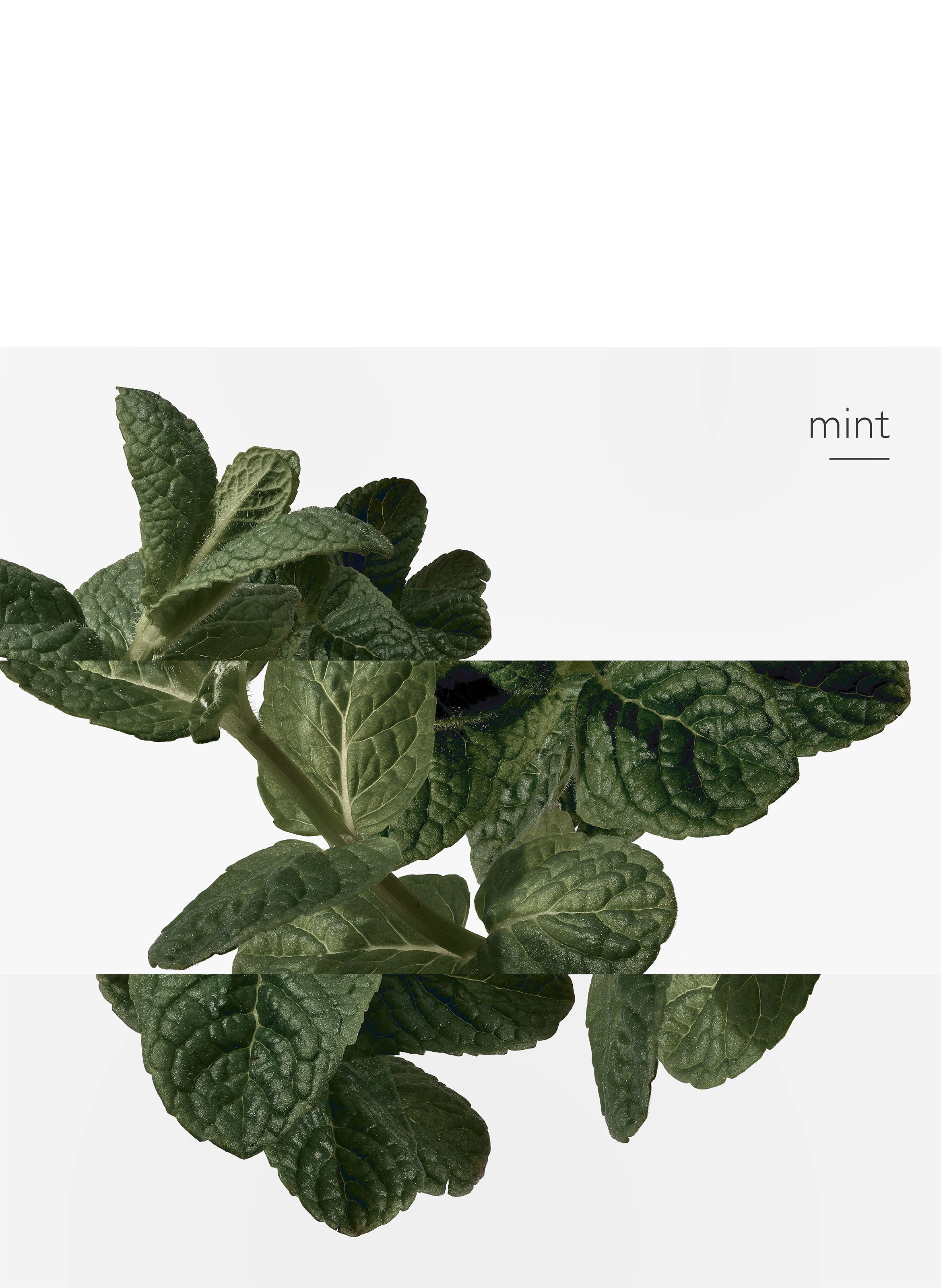 Eau d&#039;orange verte, Eau de cologne HERMÈS No color