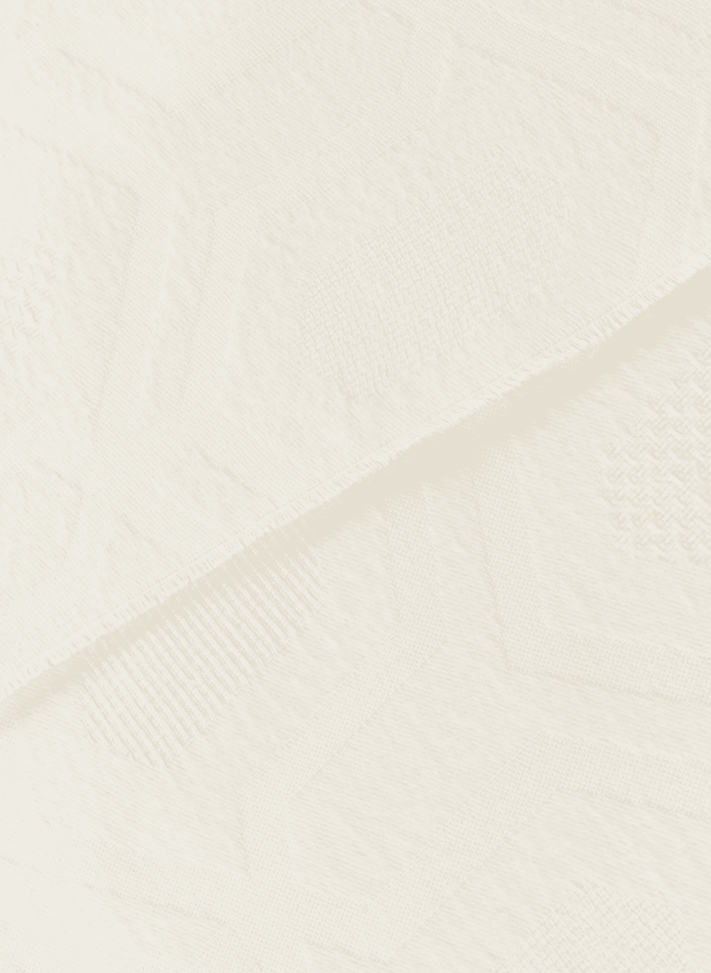 Echarpe en coton biologique SAISON 1865 Beige