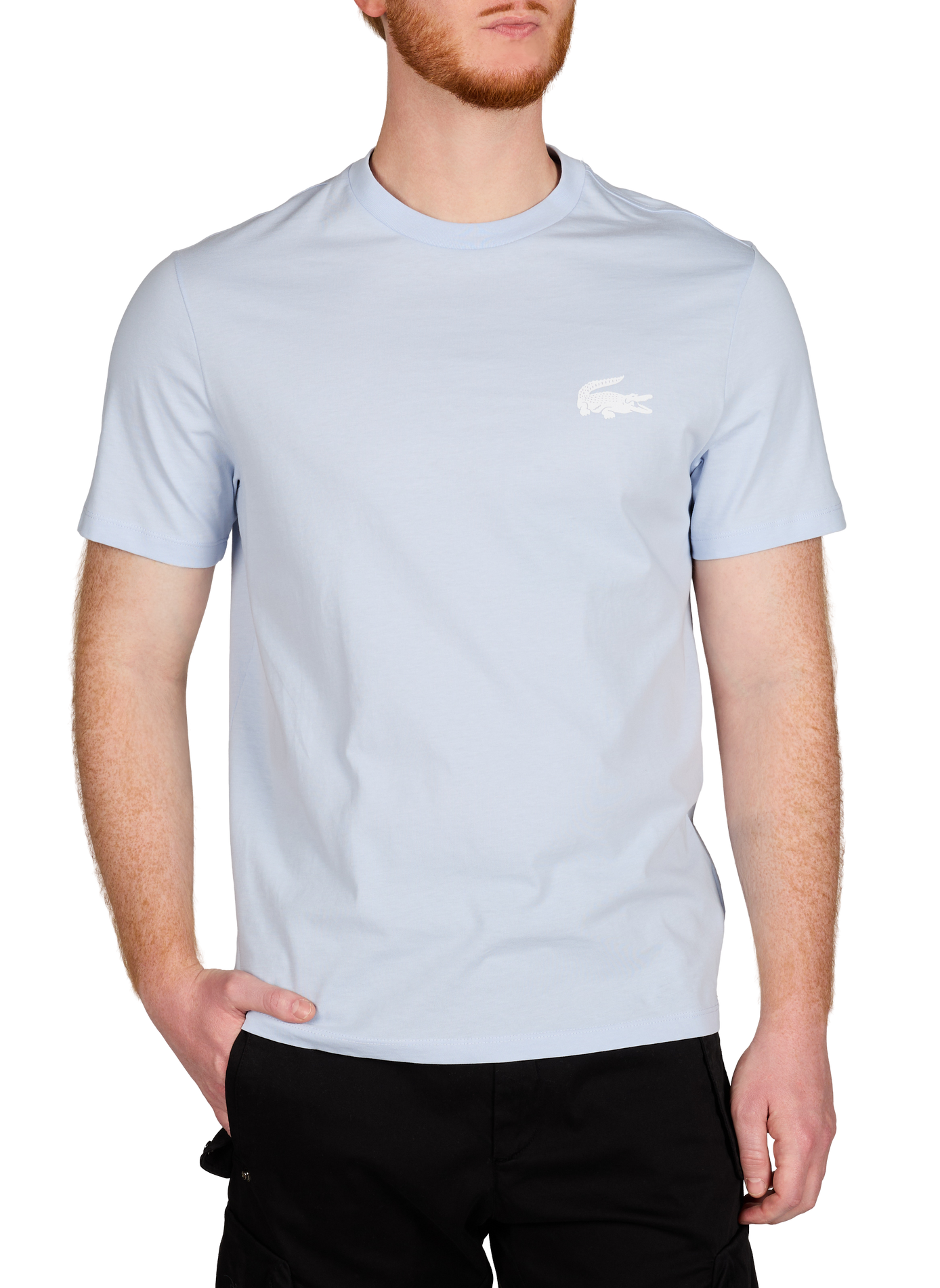 Classic Cotton T-Shirt LACOSTE Blue