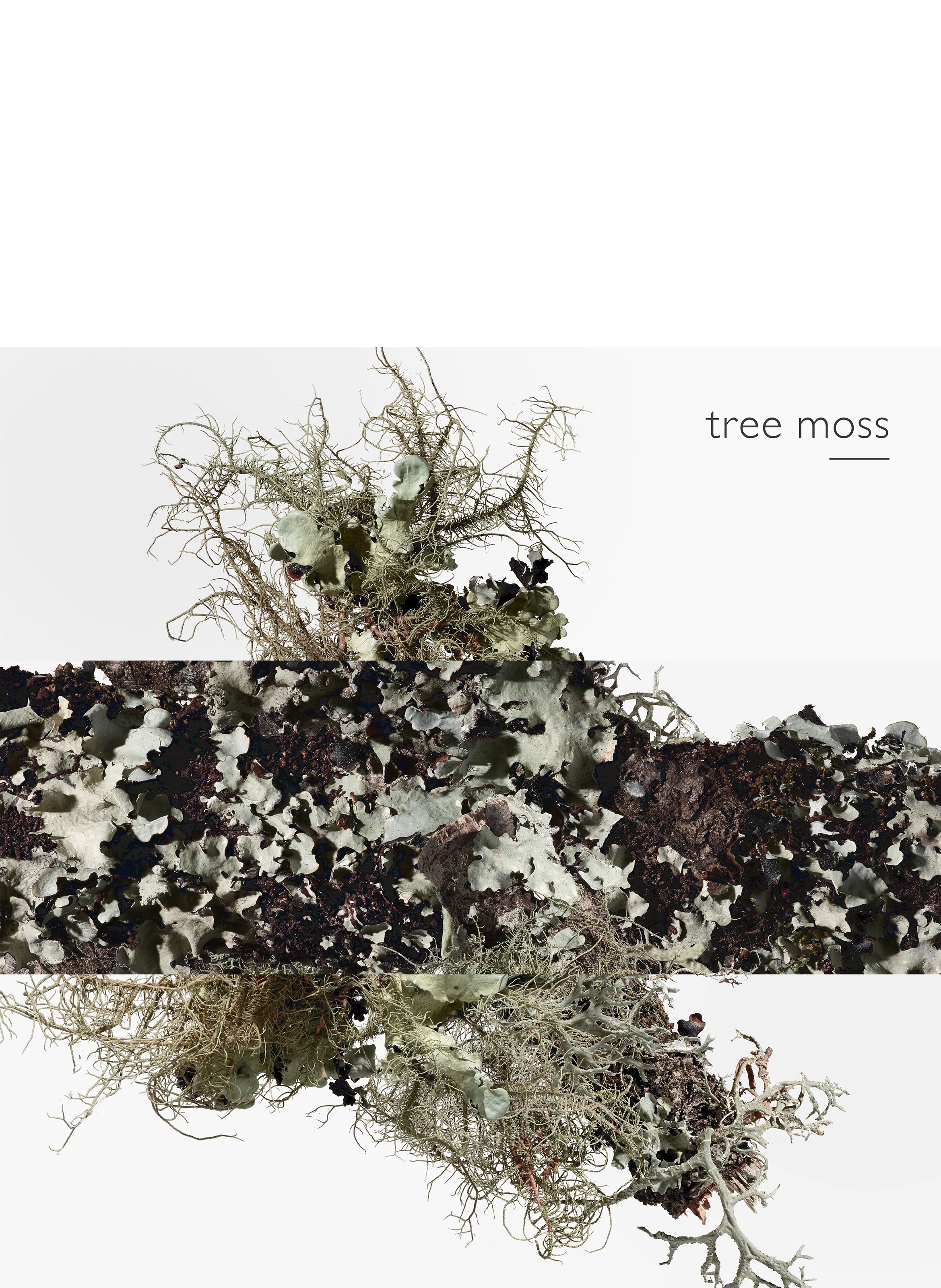 Eau d&#039;orange verte, Eau de cologne HERMÈS No color