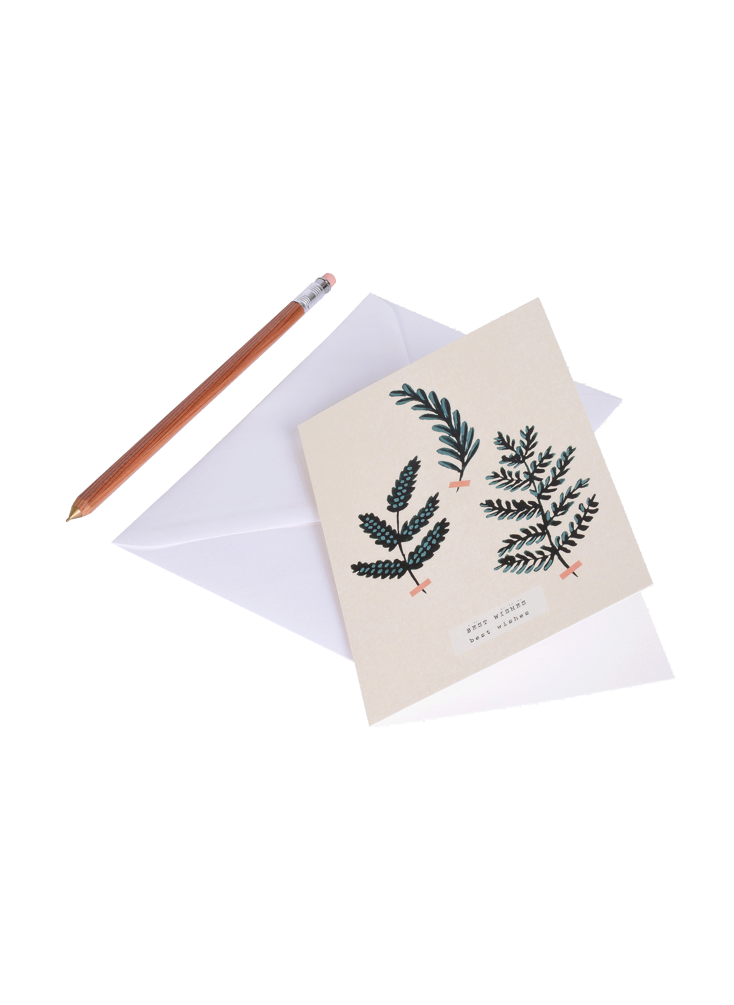 Carte postale Herbier d'Hiver