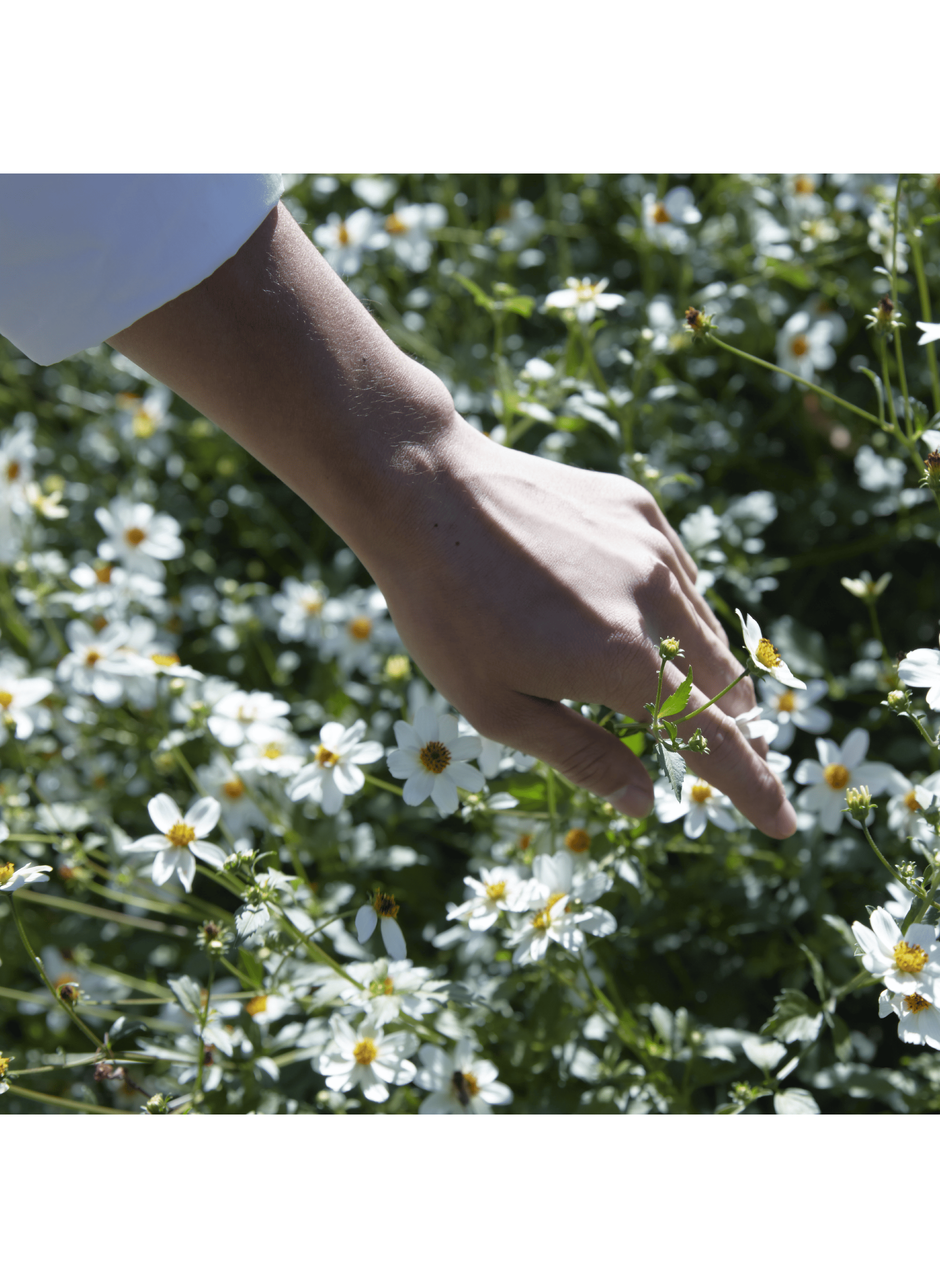Eau de Toilette REPLICA Springtime in a Park MAISON MARGIELA No color