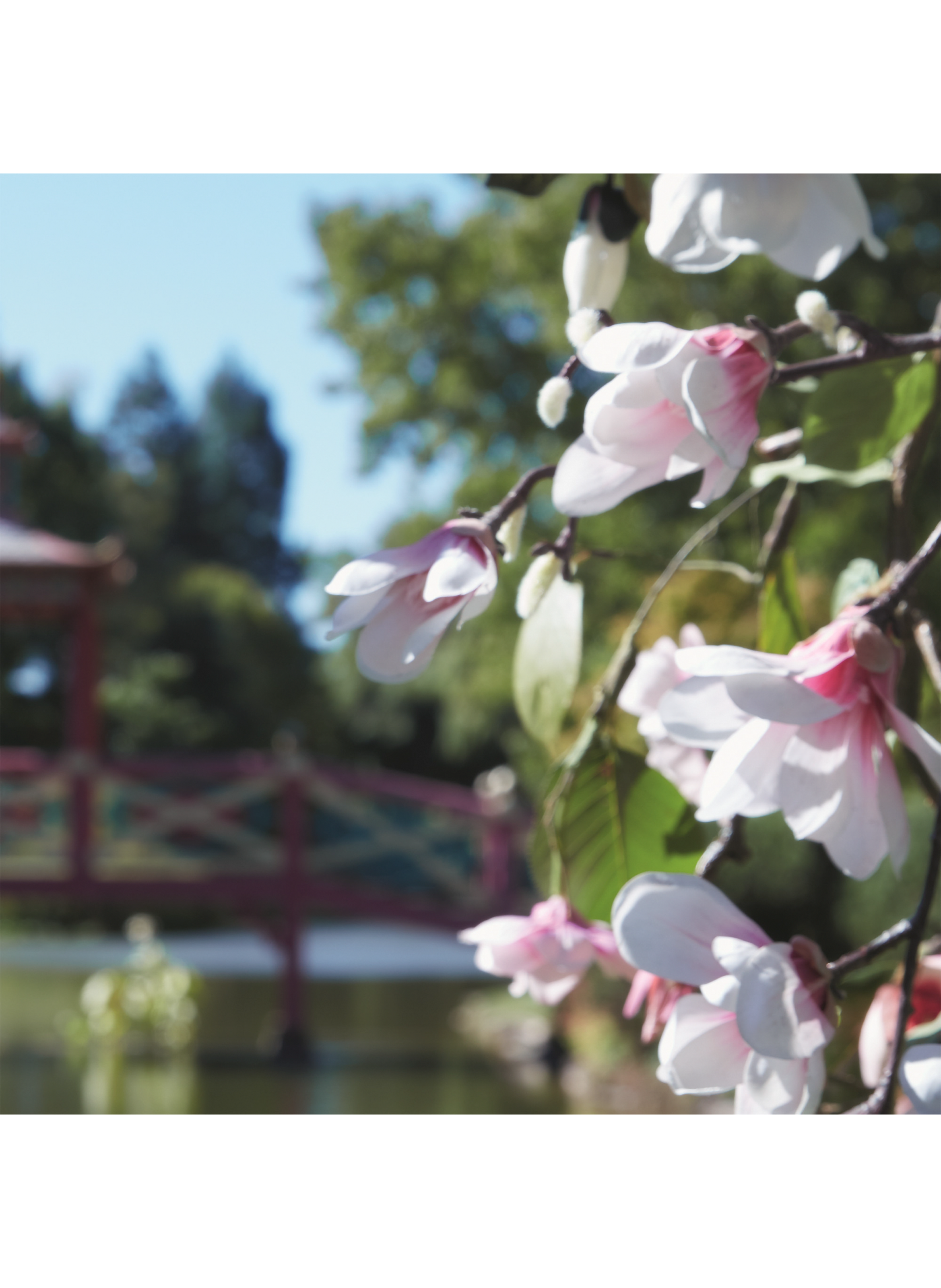 Eau de Toilette REPLICA Springtime in a Park MAISON MARGIELA No color