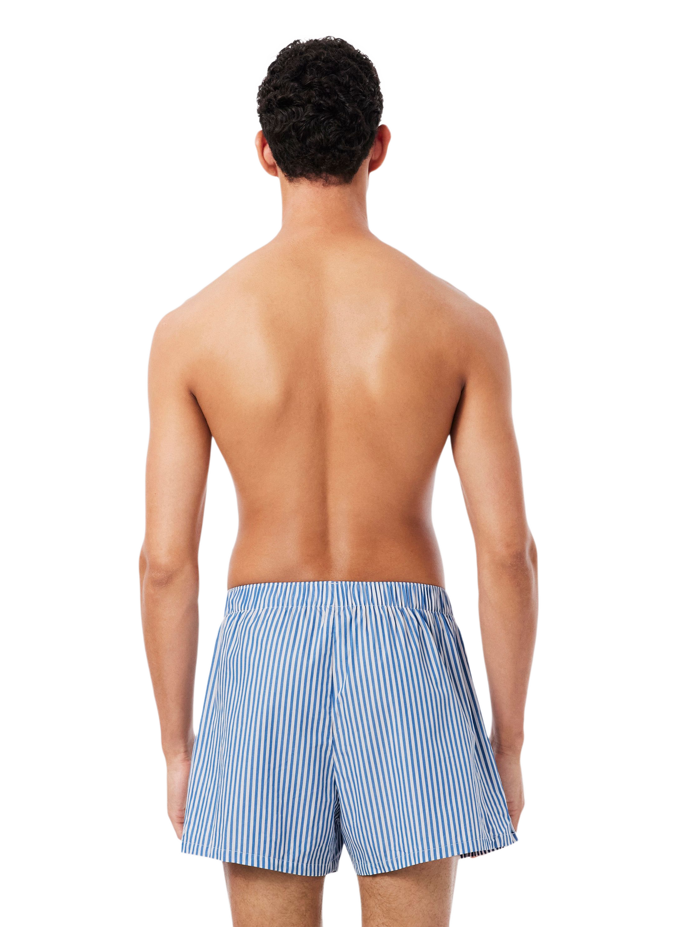 Lot de 3 caleçons en coton LACOSTE Multicolore