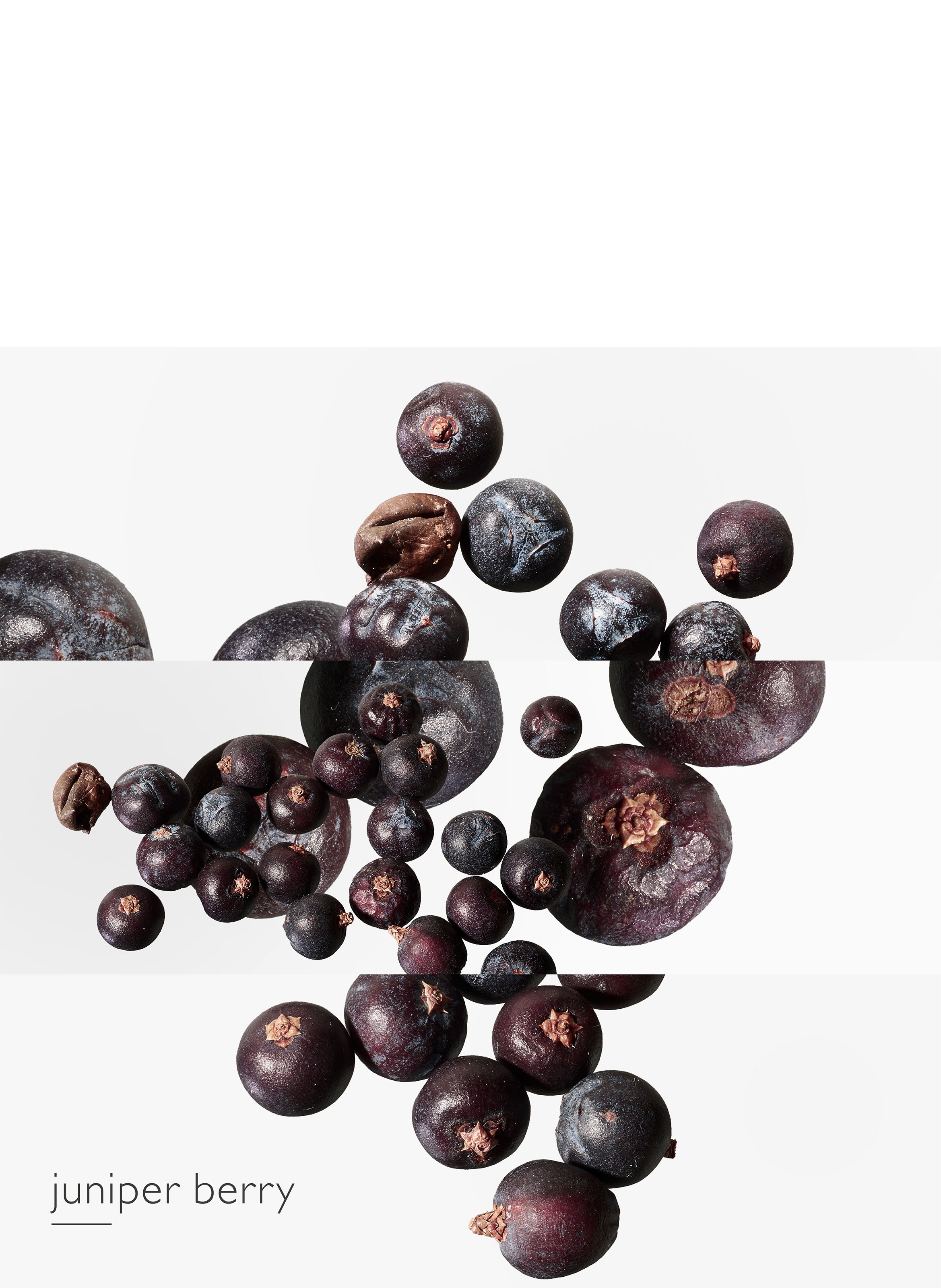 Eau des Merveilles Bleue Eau de toilette No color