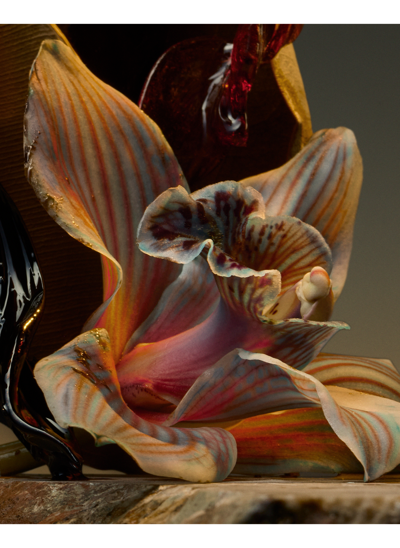 Vanilla Affair - Perfume Extract D'ORSAY No color