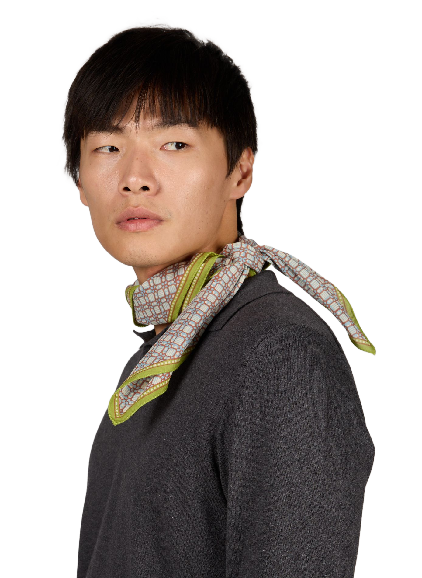 Colette cotton scarf MOISMONT Multicolour