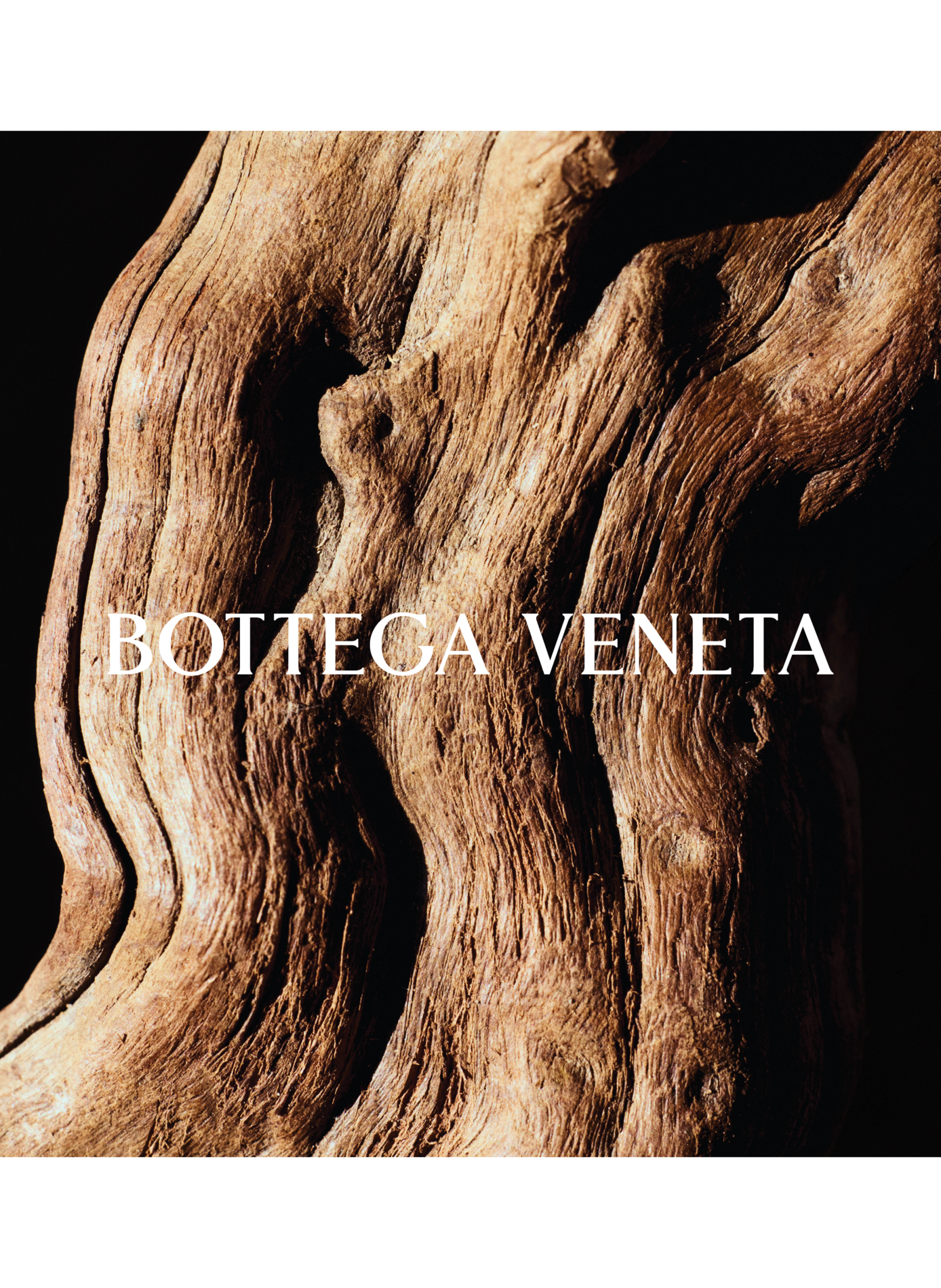 Fast Morgen - Parfüm BOTTEGA VENETA No color