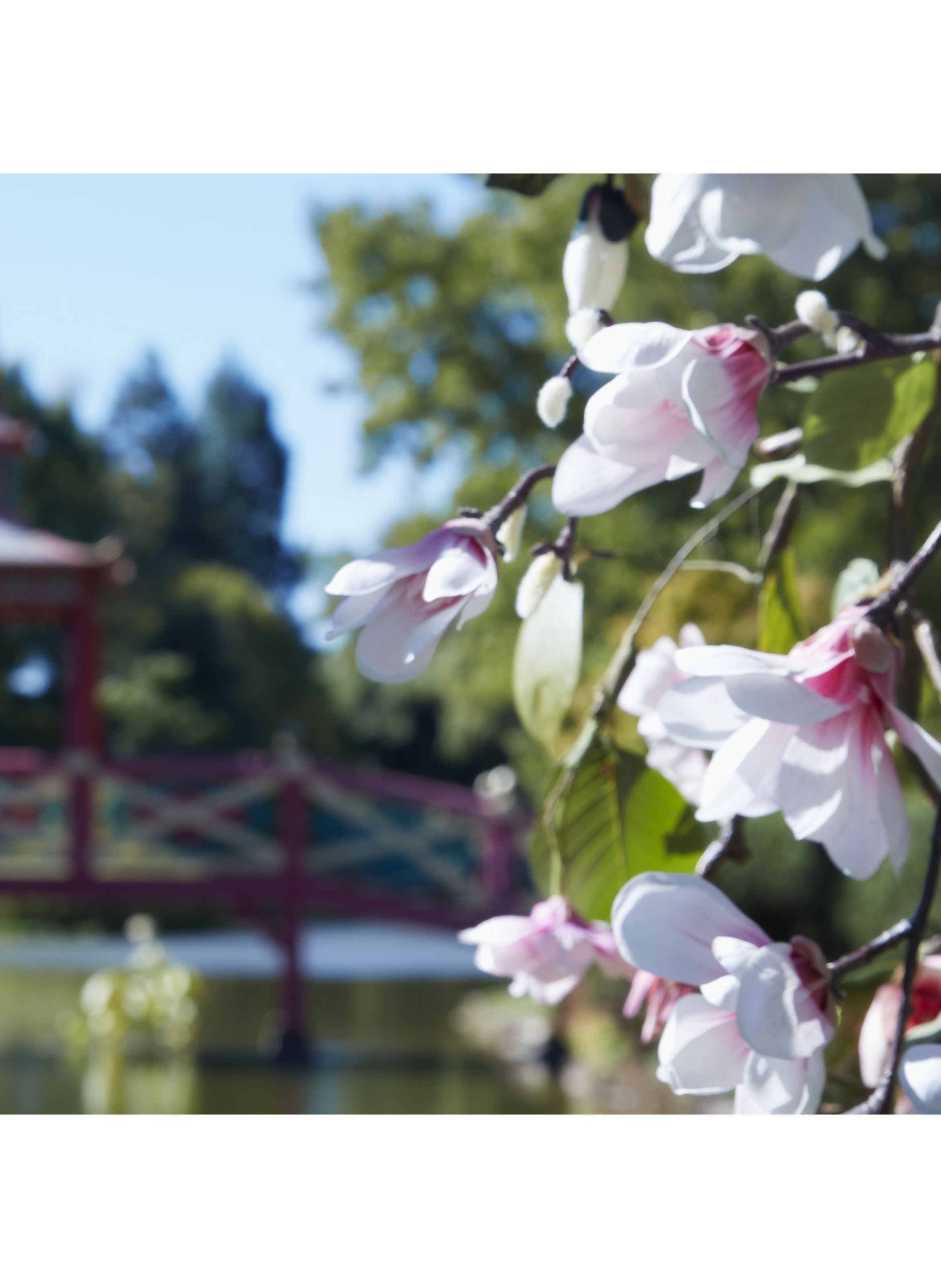 Eau de Toilette REPLICA Springtime in a Park MAISON MARGIELA No color