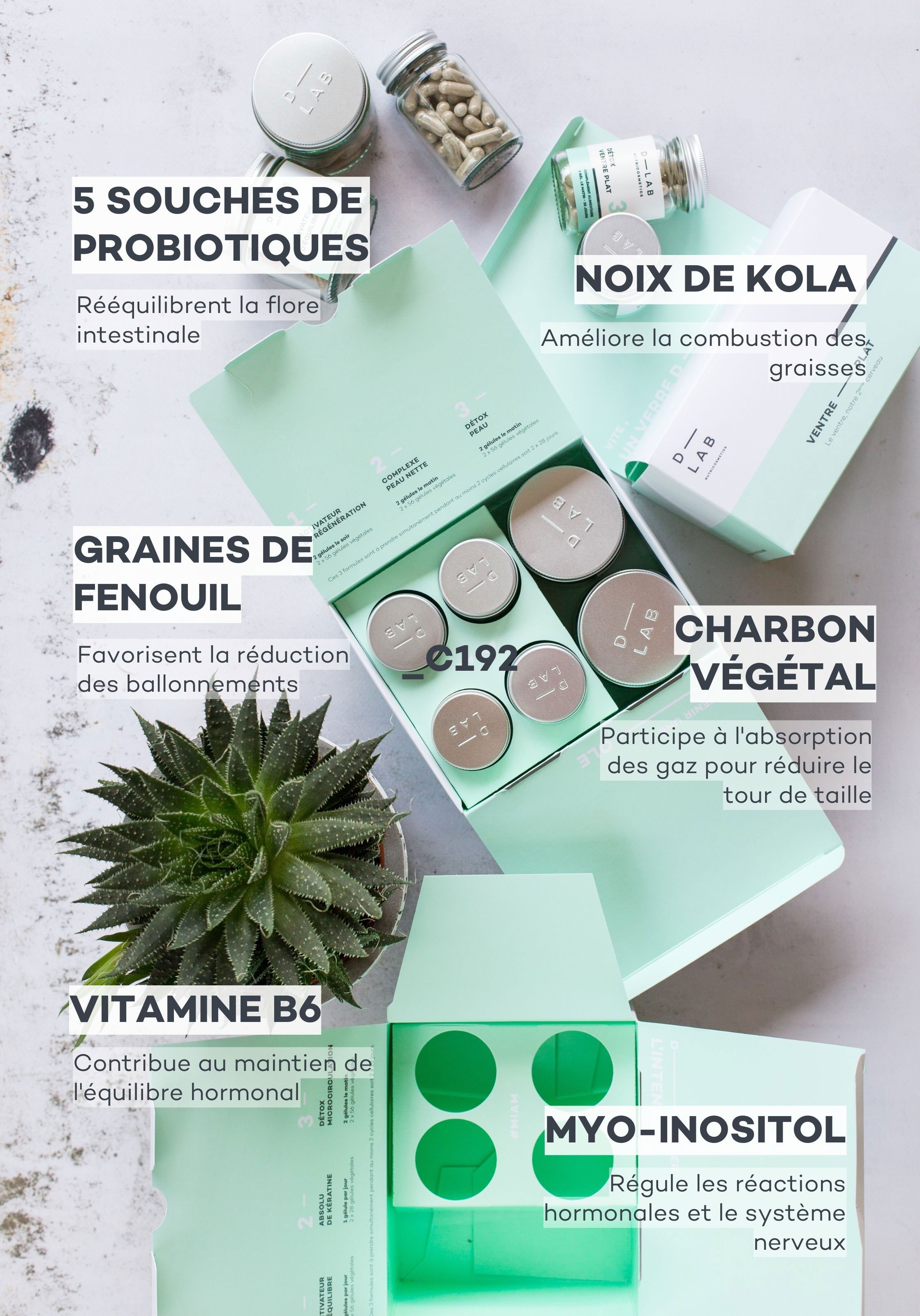 Flat Belly Programme D-LAB NUTRICOSMETICS No color