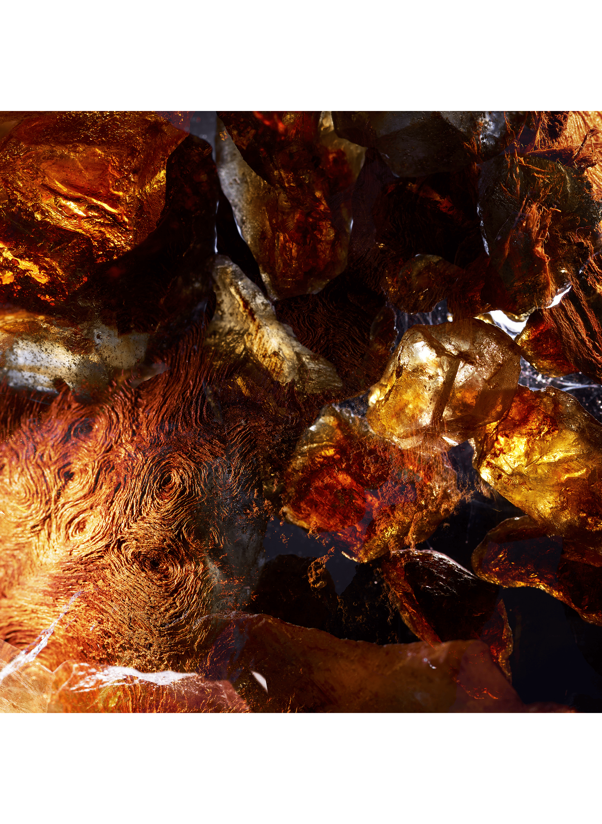 Le Gemme Yasep - Eau de Parfum BVLGARI No color