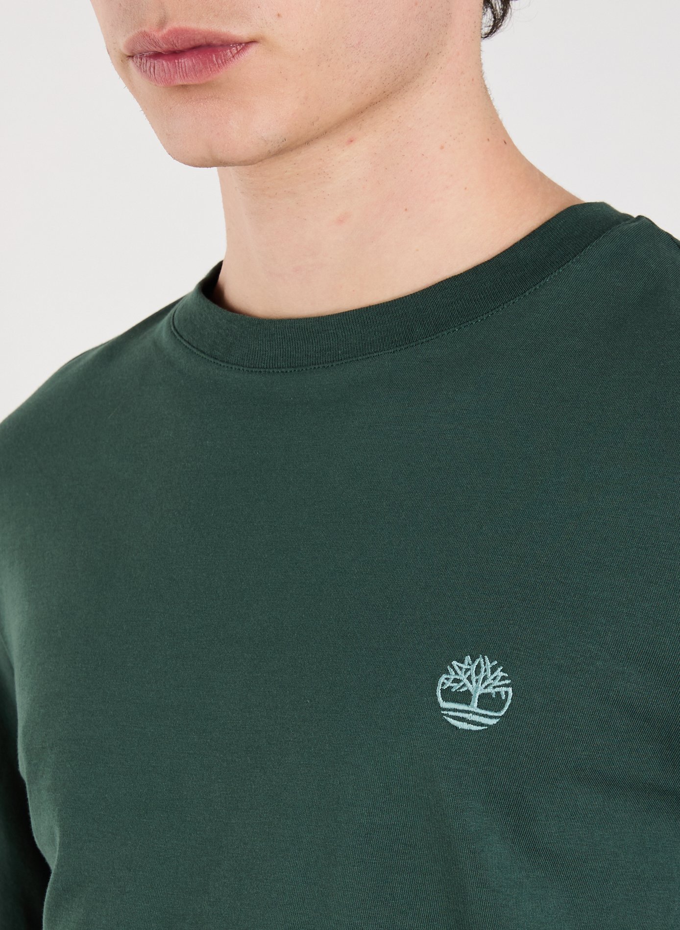 Long sleeve T-shirt TIMBERLAND Green