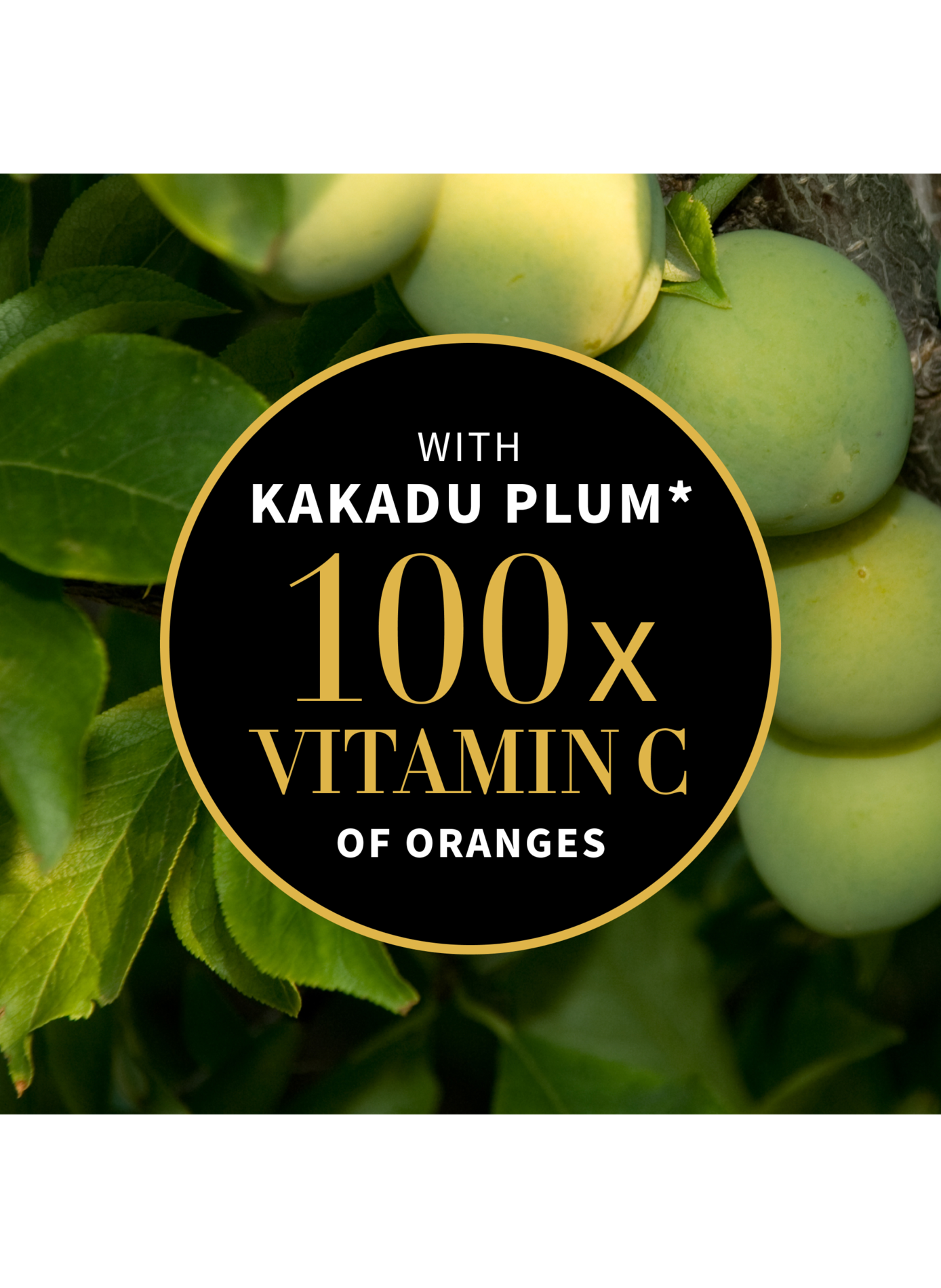 Glow ritual - Sérum à la vitamine C et à l'acide hyaluronique végétal ANTIPODES No color