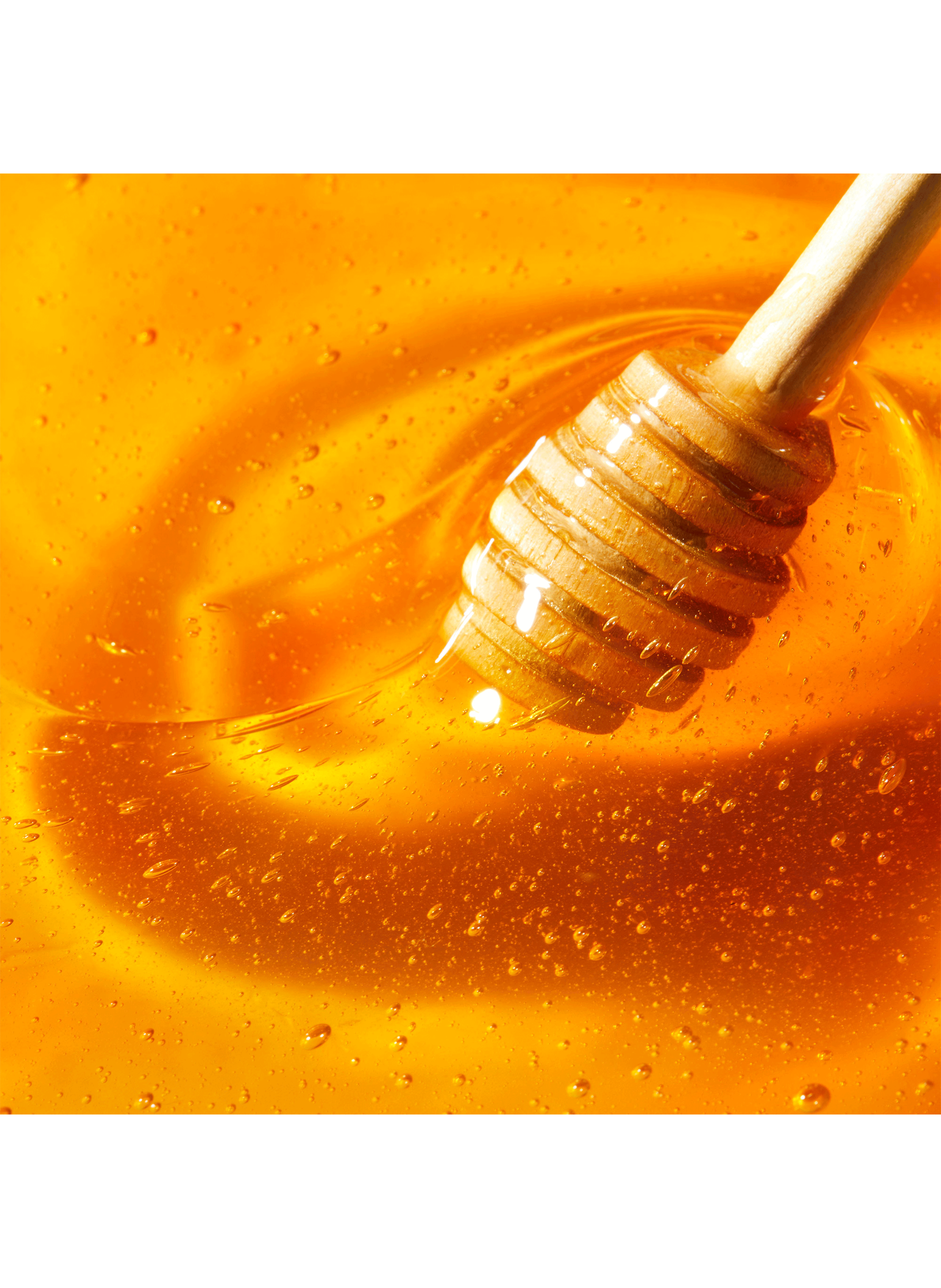 Stick Lèvres Hydratant lèvres desséchées Rêve de Miel® NUXE No color