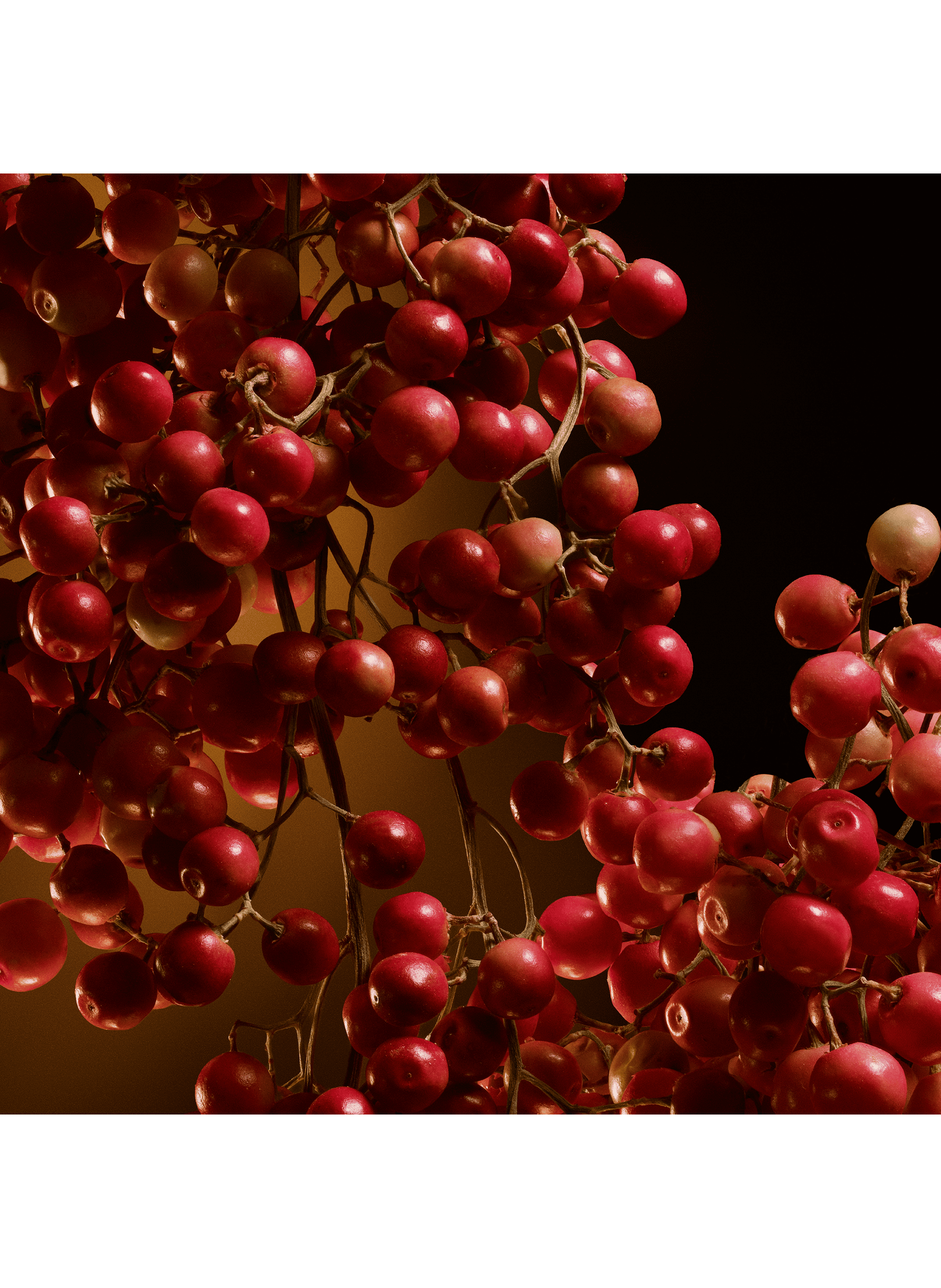 The One - Eau de Parfum Intense DOLCE & GABBANA No color