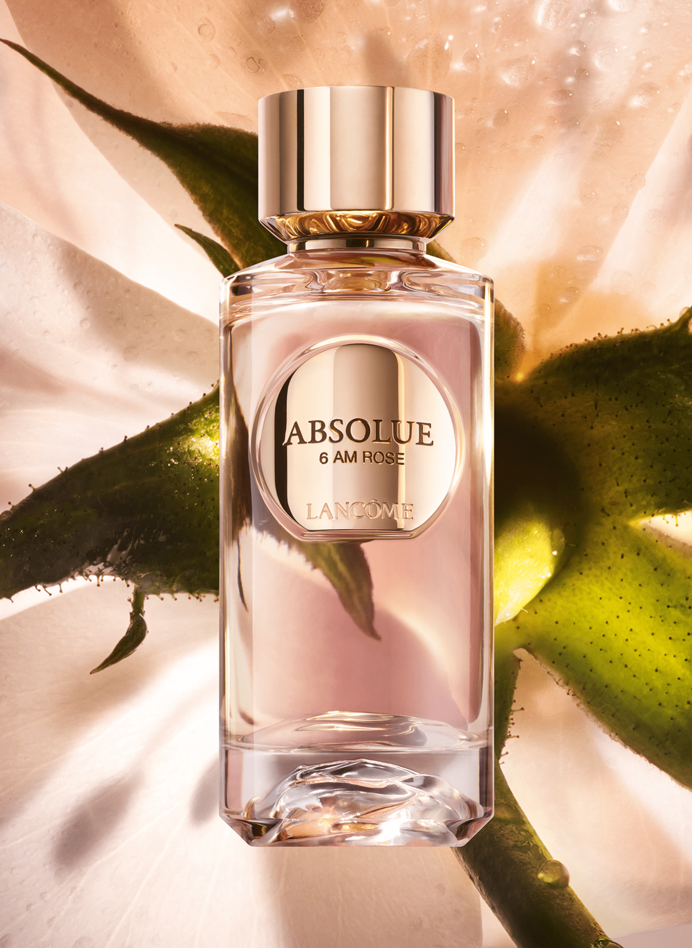 Absolue Les Parfums - 6AM Rose - Eau de Parfum LANCÔME No color