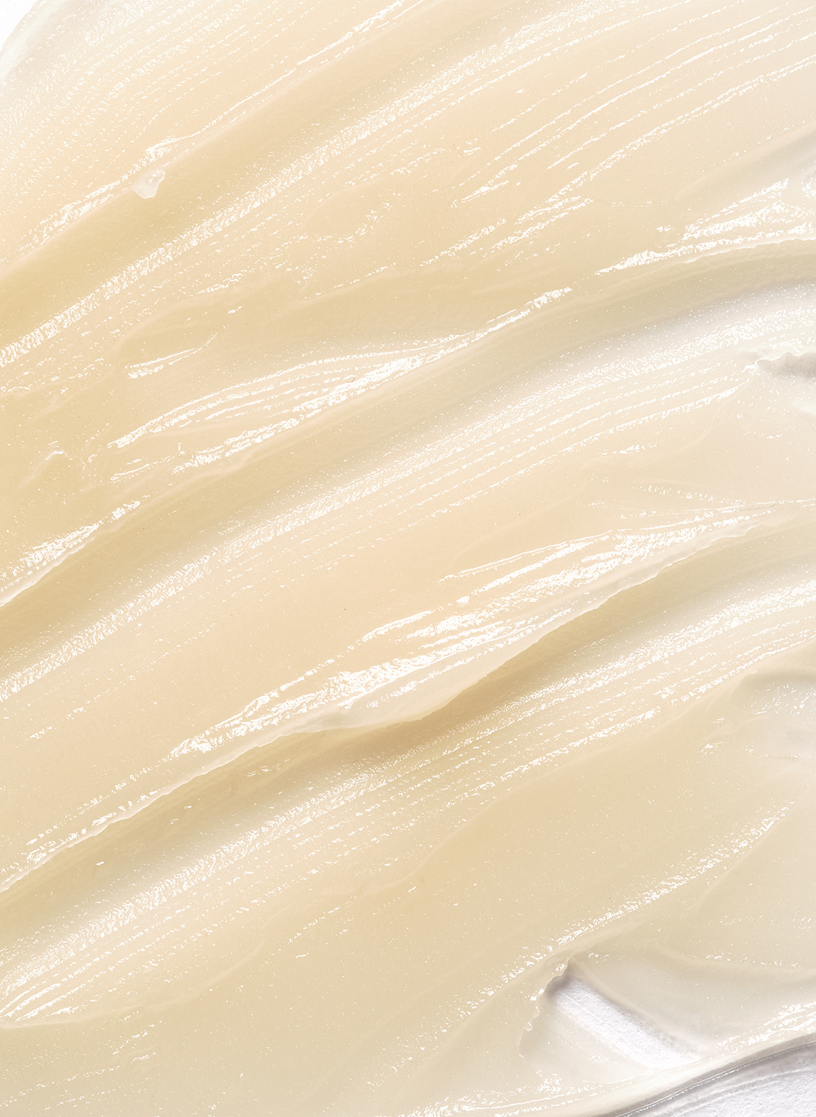 Lip Balm PAYOT No color