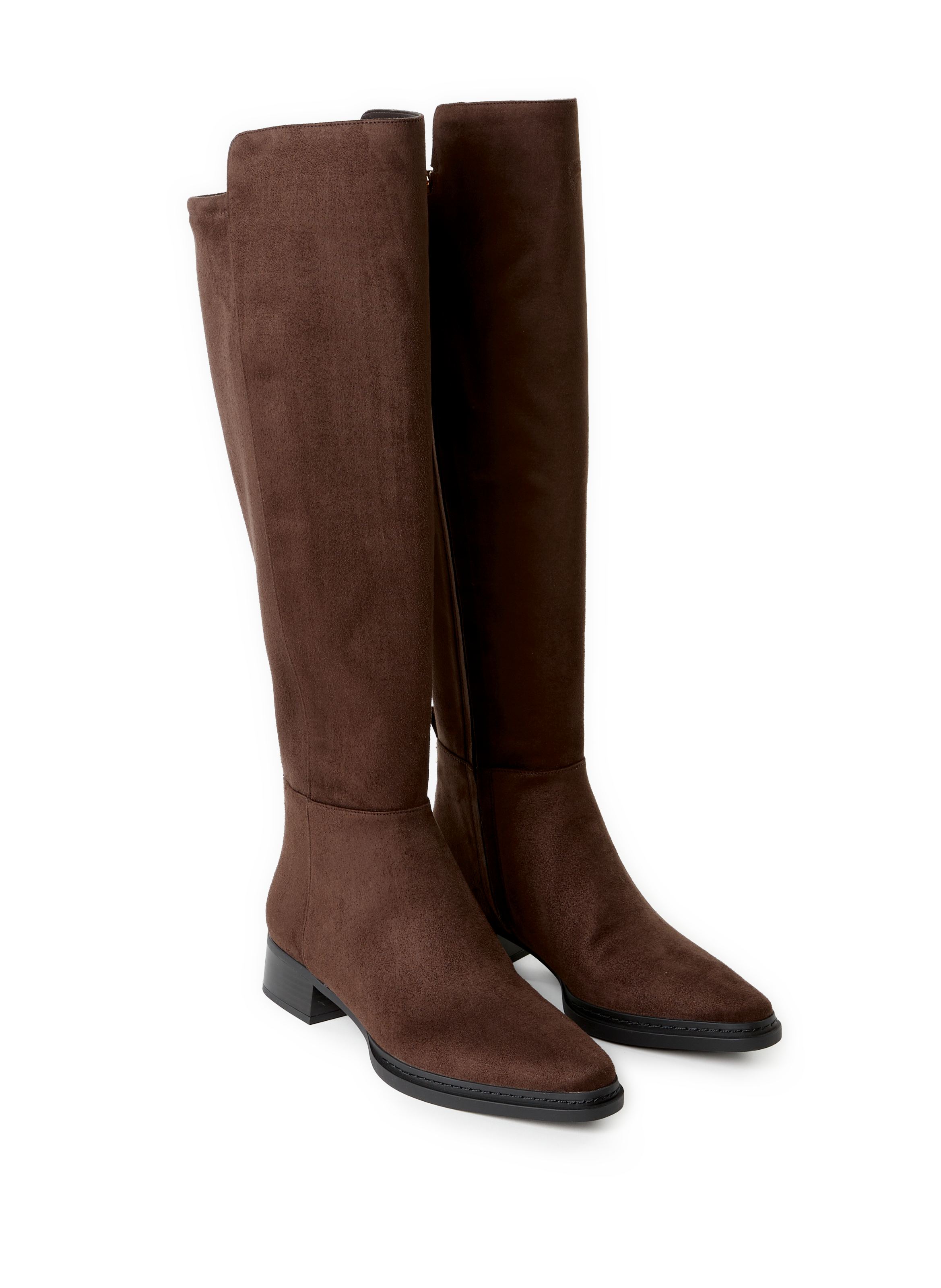 Bottes hautes Lex suédée  MICHAEL KORS Marron