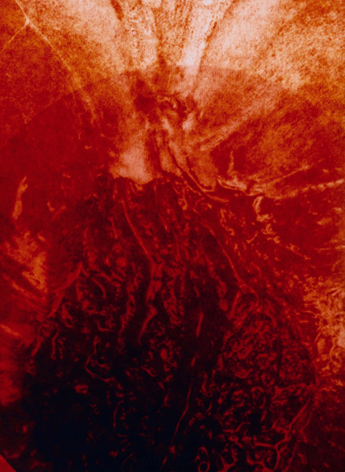 Fragrance Extract - Chaotic Red BYREDO No color