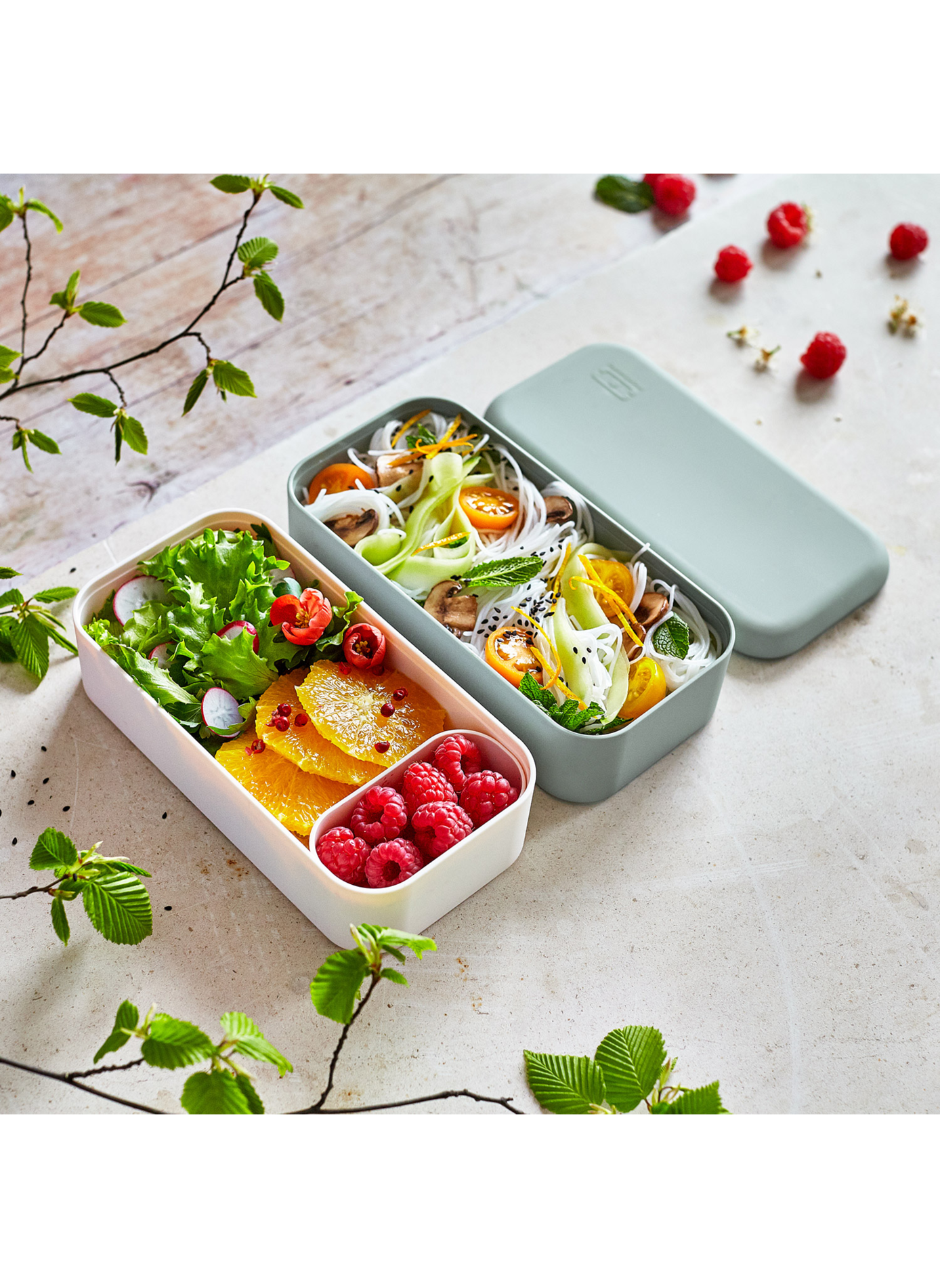 Boîte à repas Original 1L MONBENTO Vert