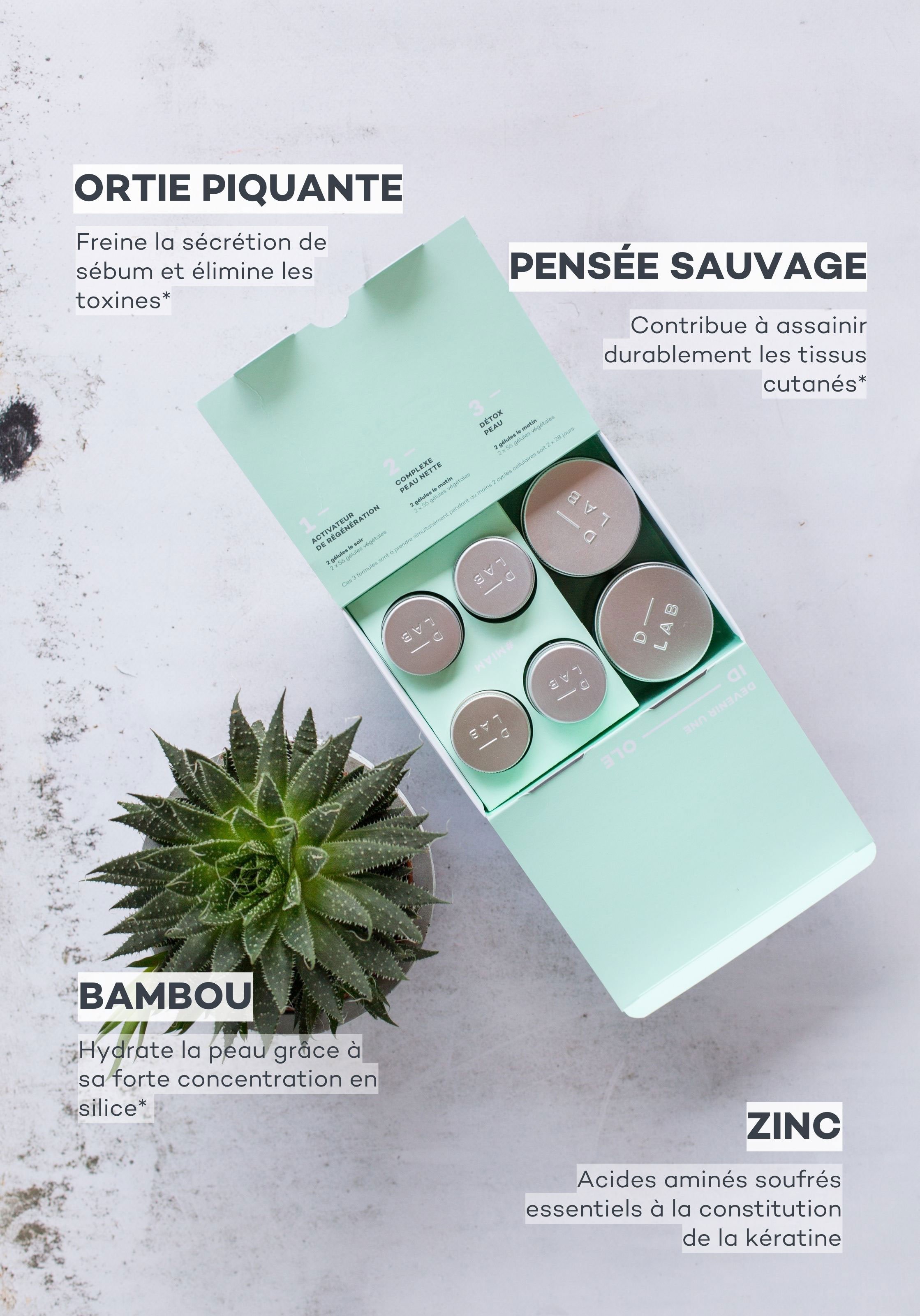 Perfect Skin Programme No color