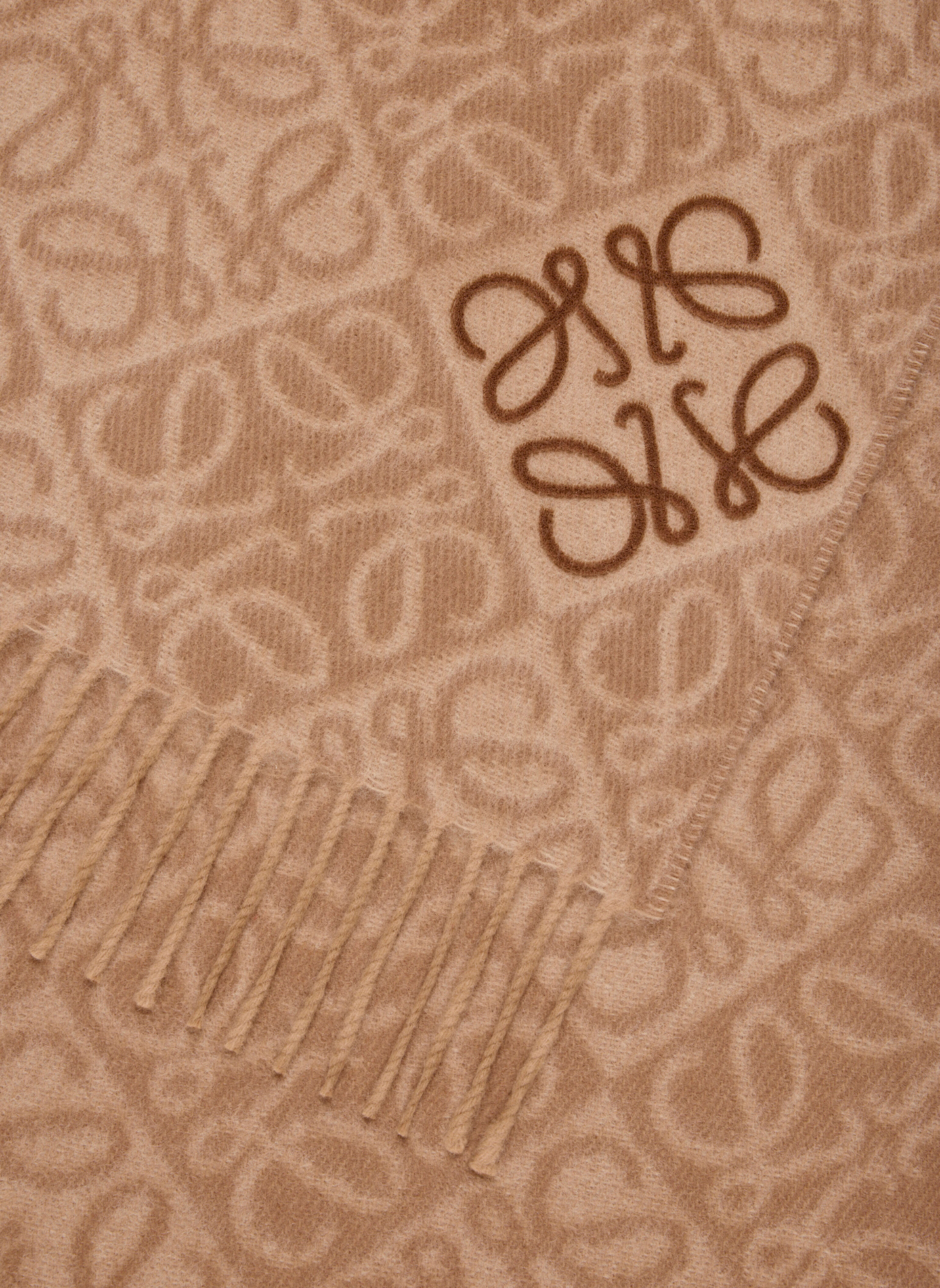 Écharpe Anagram en laine et cachemire LOEWE Marron