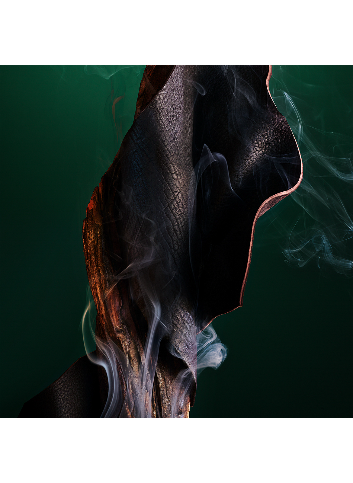 The Gem Falkar - Eau de Parfum BVLGARI No color