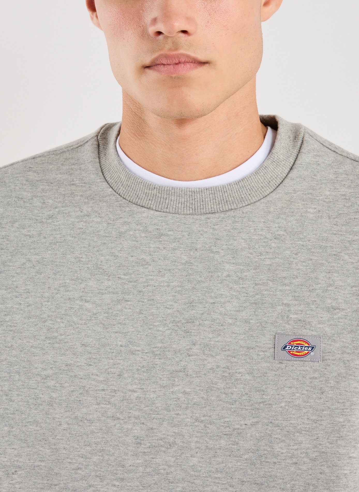 Sweatshirt à logo DICKIES Gris
