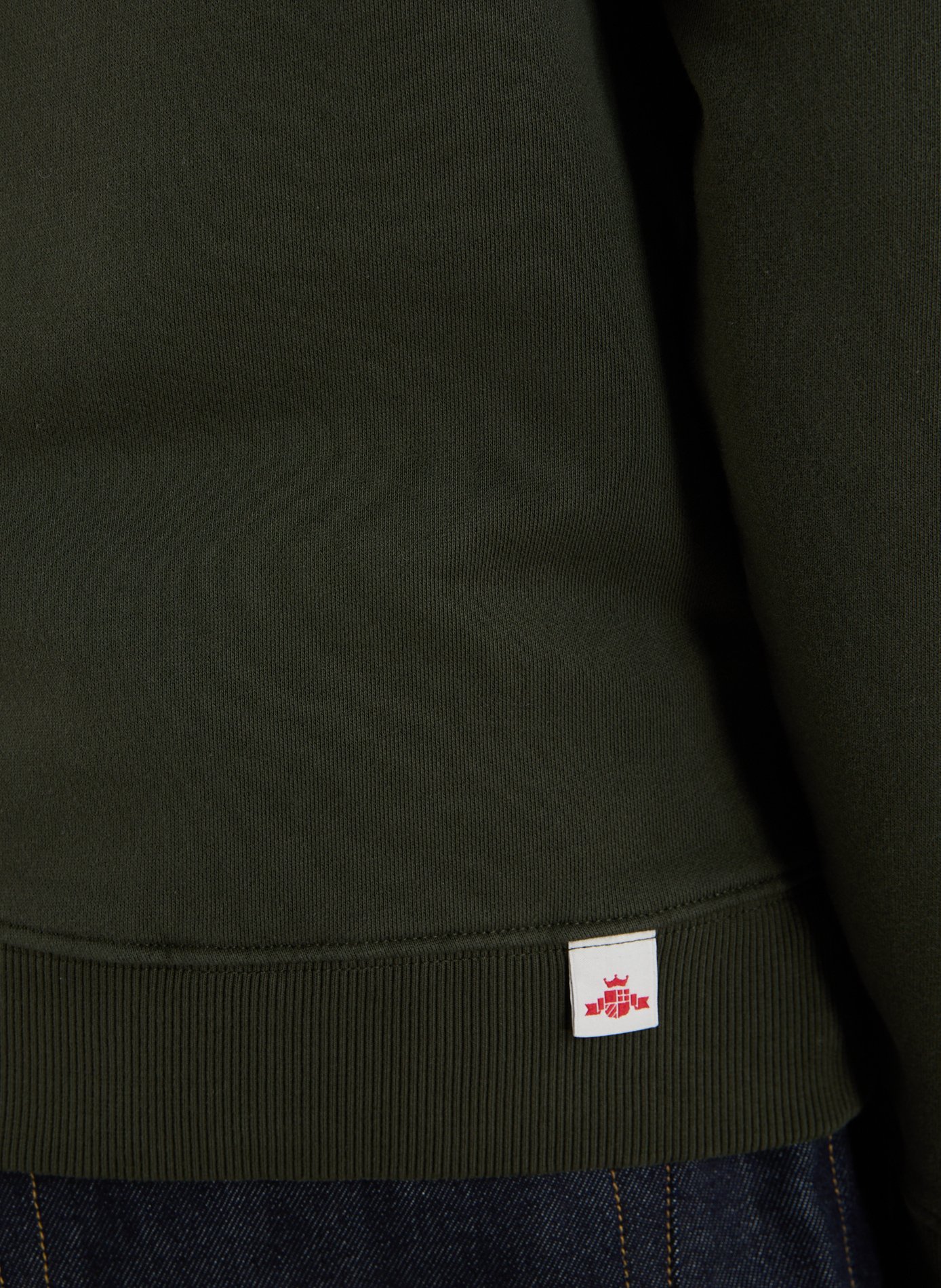 Hoodie en coton REPLAY Vert