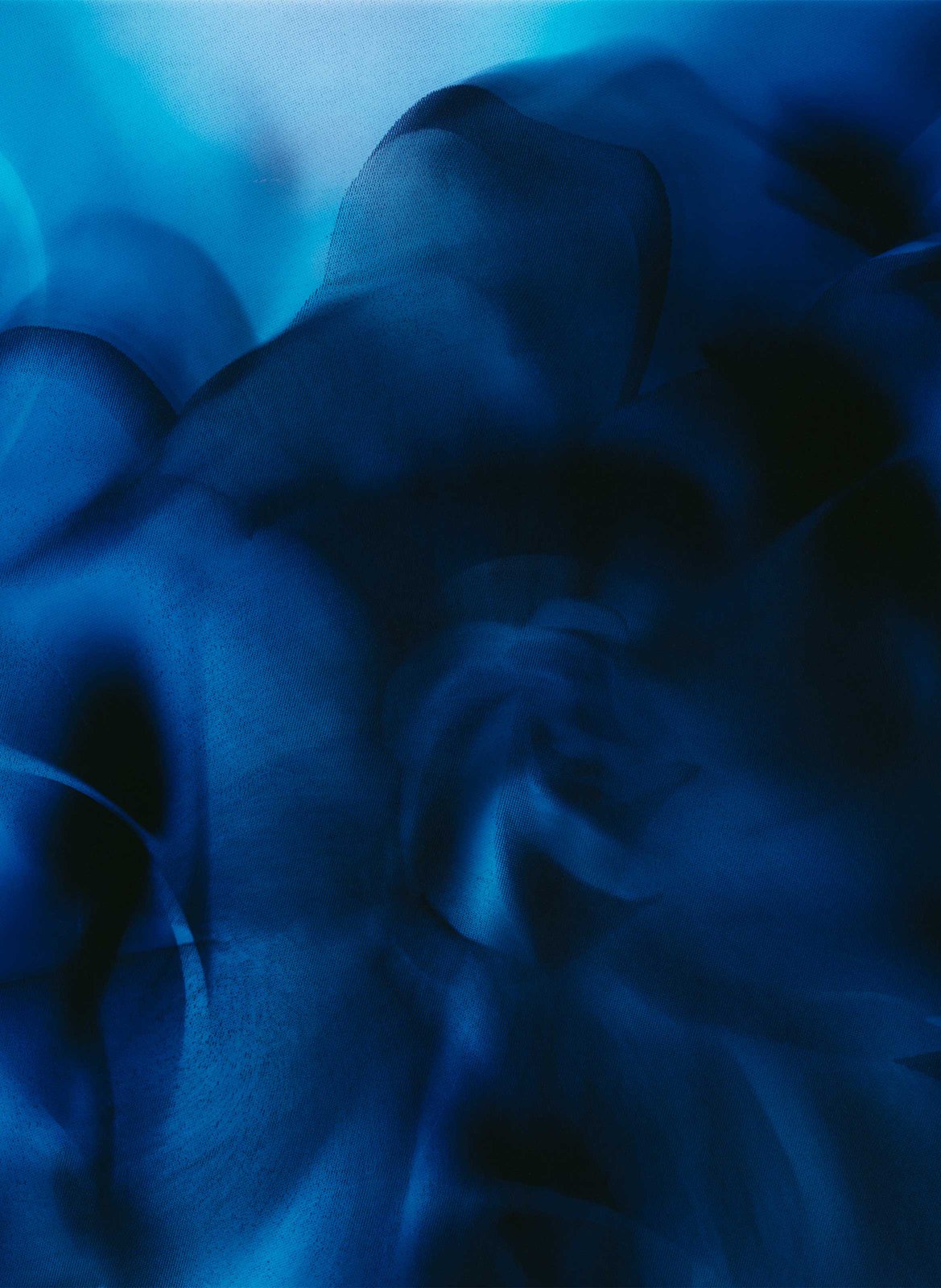 Extract of Perfume - Casablanca Lily BYREDO No color