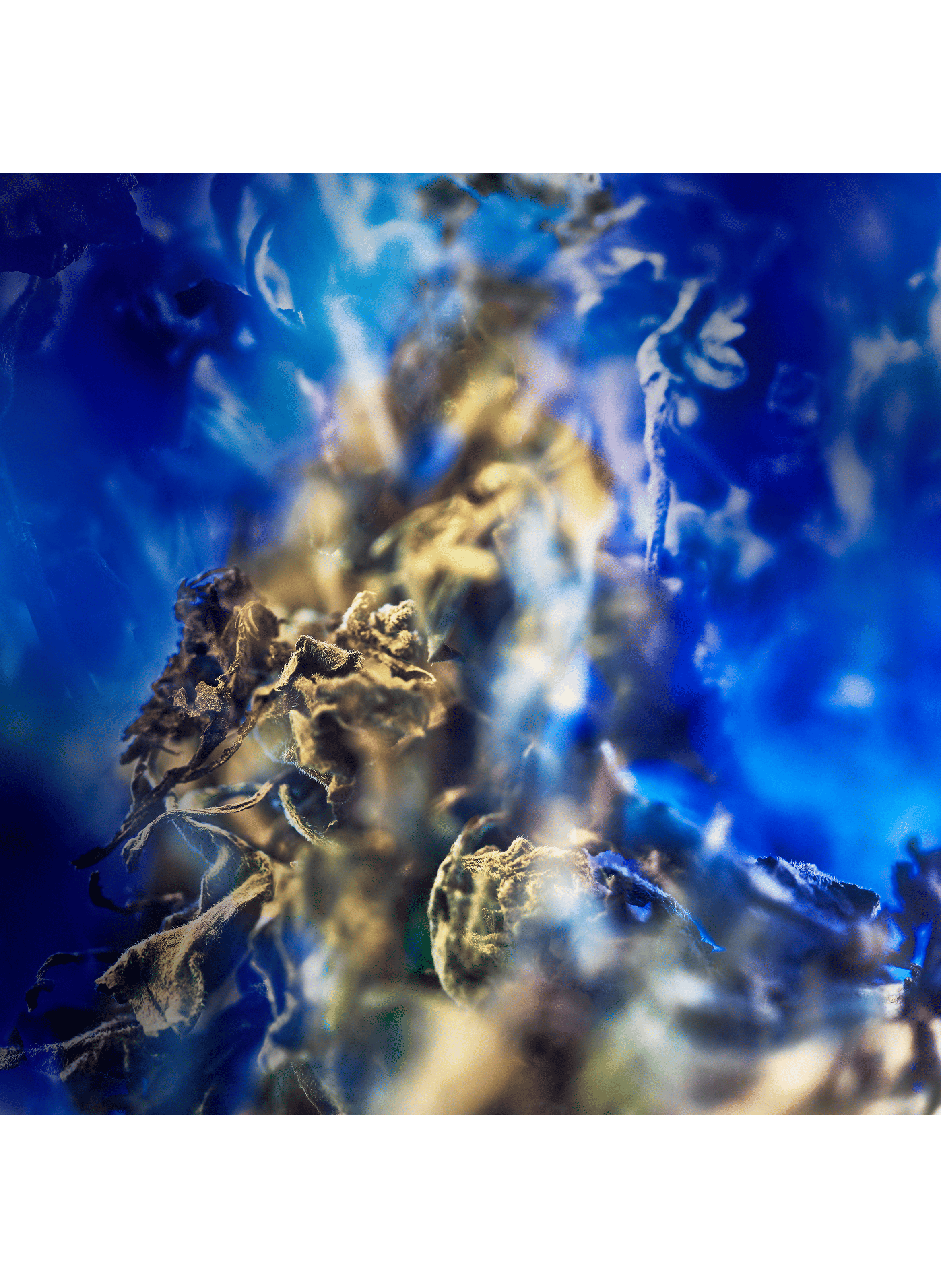 The Gem Gyan - Eau de Parfum BVLGARI No color