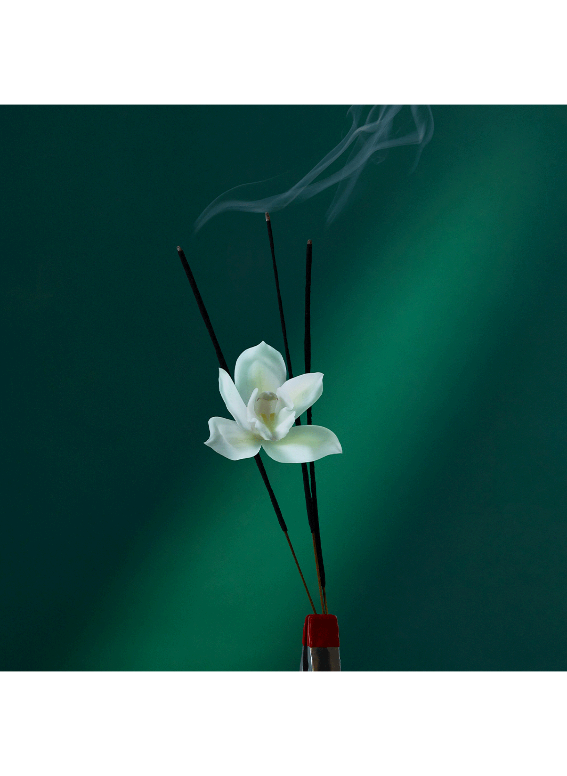 Eau de parfum - Eau the Audacity PENHALIGON'S No color