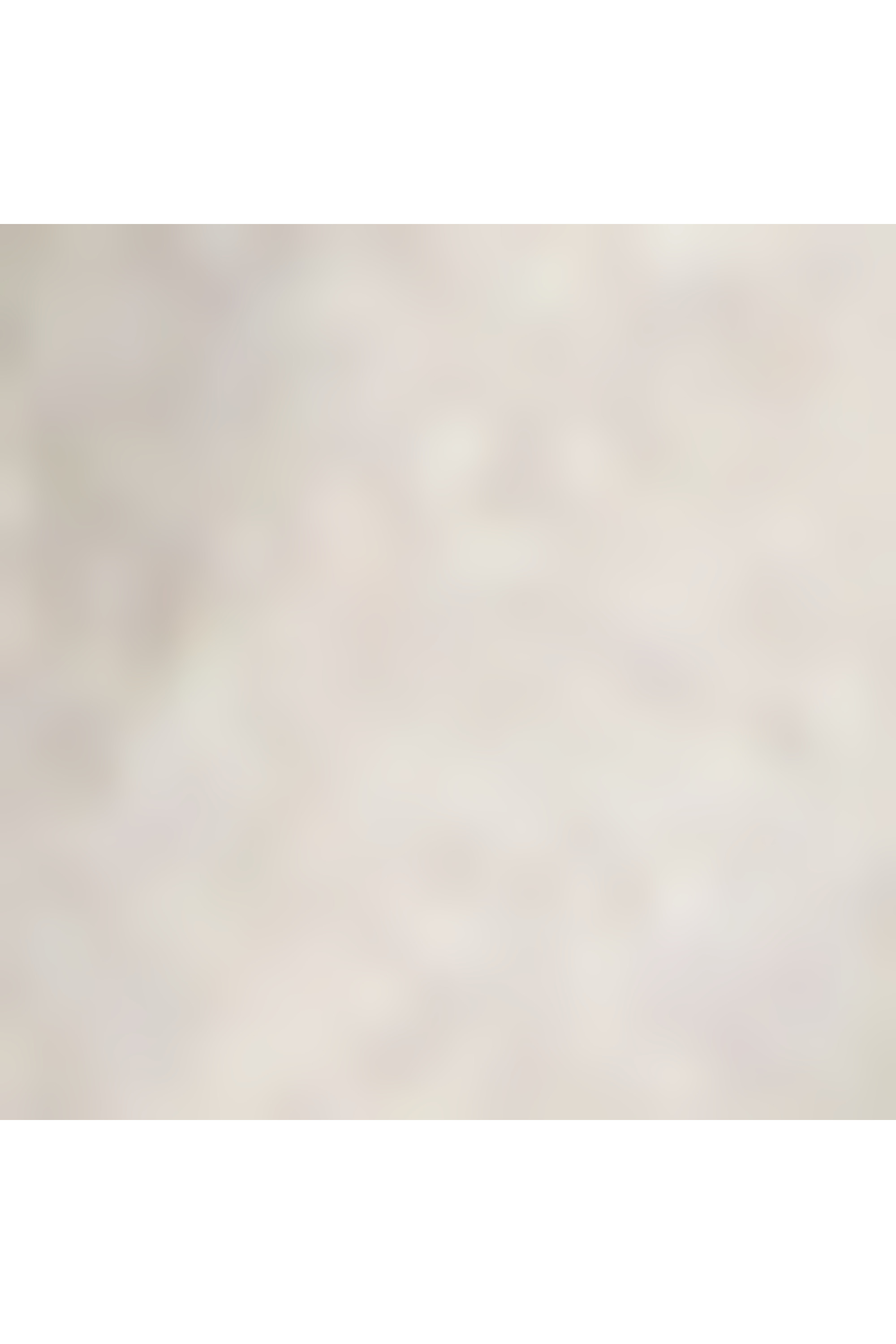 19 degree titanium lifestyle accessory taille s TUMI Argent