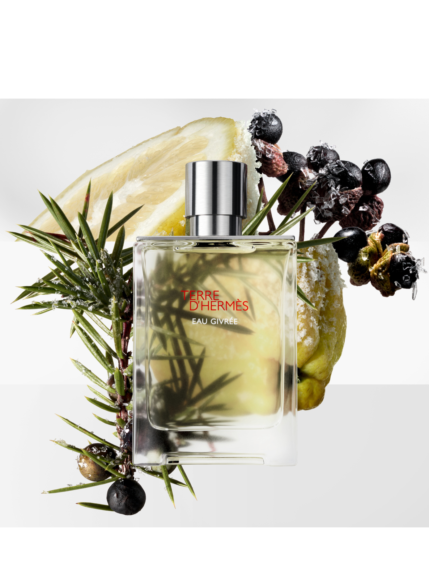 Terre d'Hermès Eau Givrée - Perfume Refill HERMÈS No color