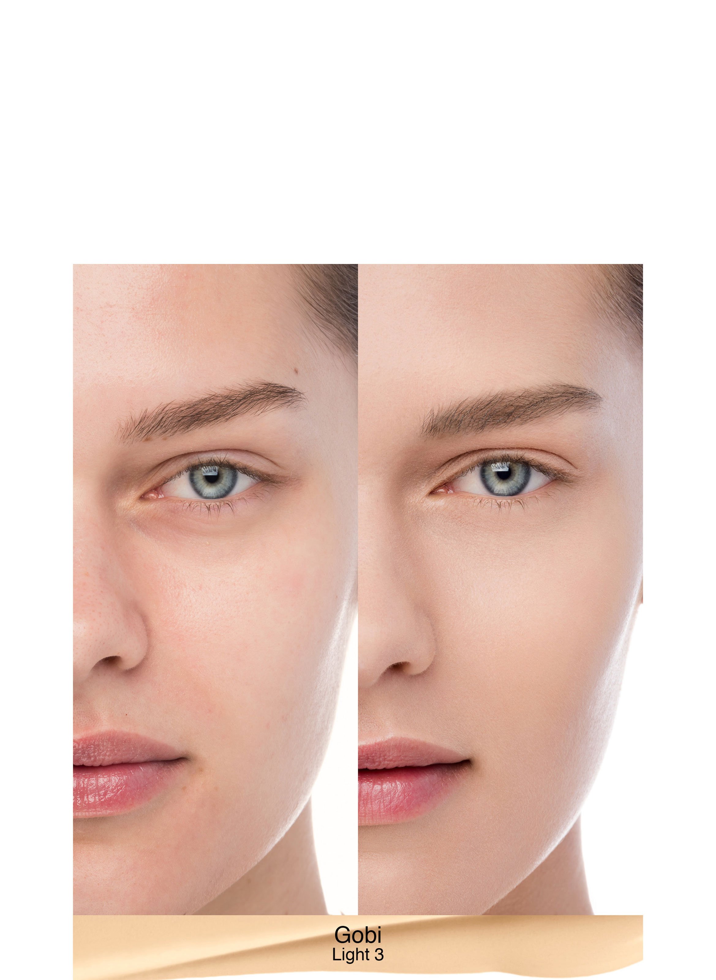 Foundation NARS Gobi