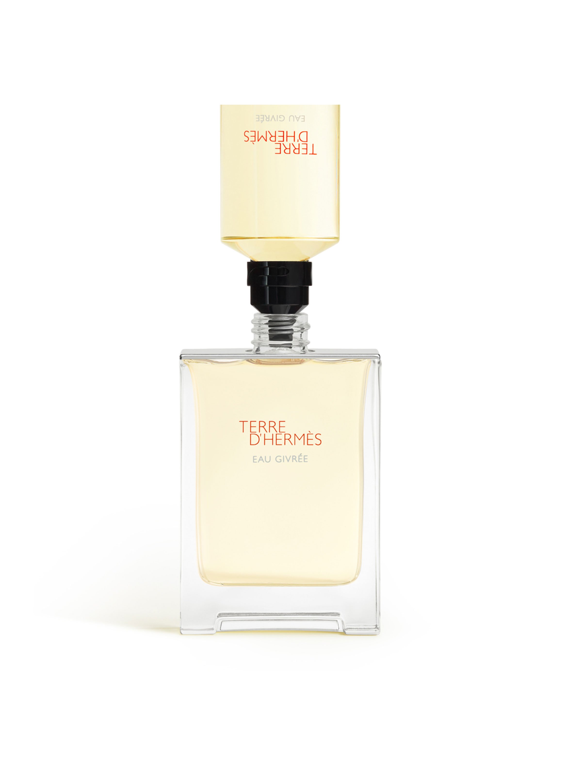 Terre d?Hermès Eau Givrée eau de parfum HERMÈS No color