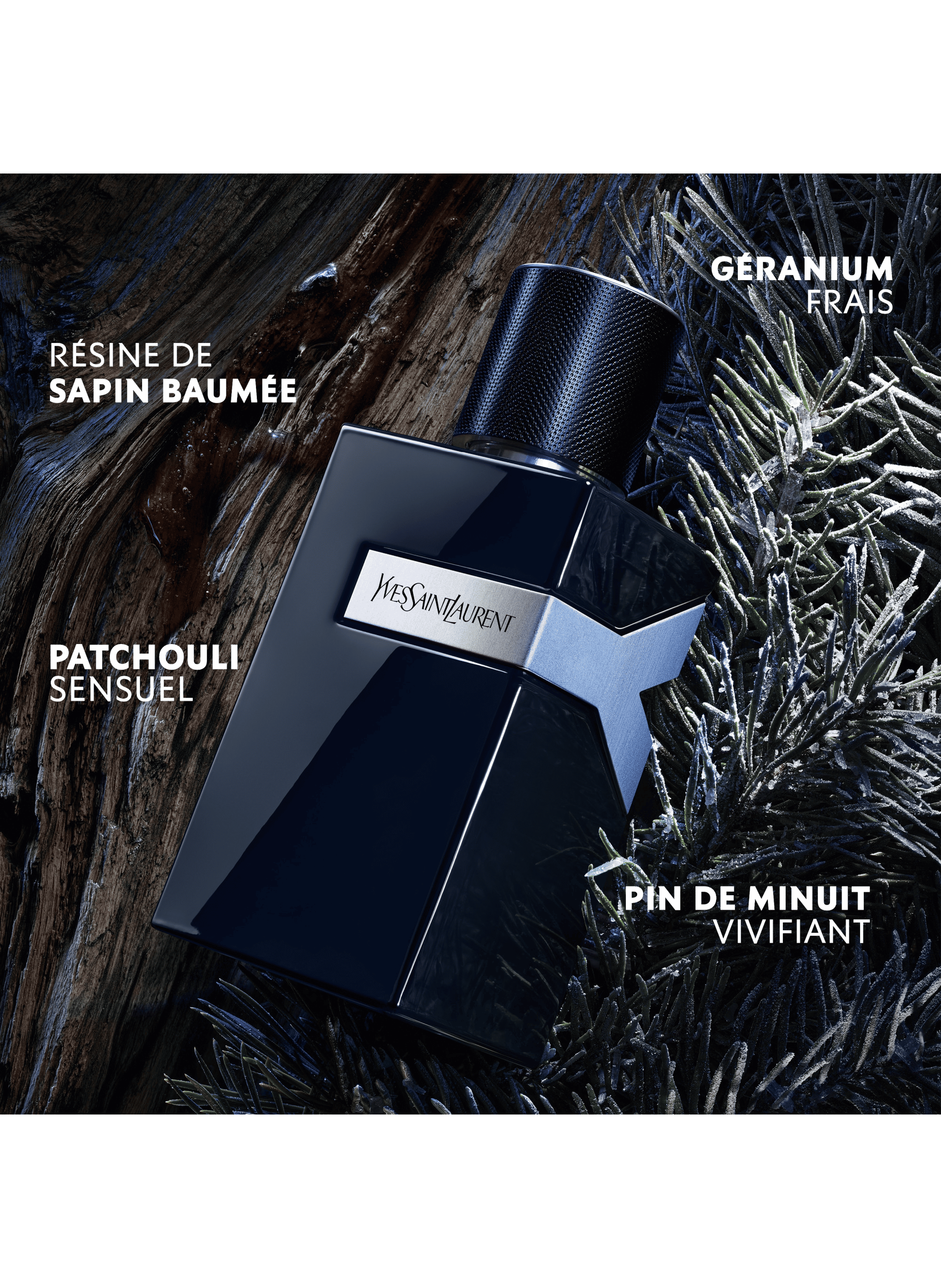 Y Amber Fougère Perfume for Men YVES SAINT LAURENT No color