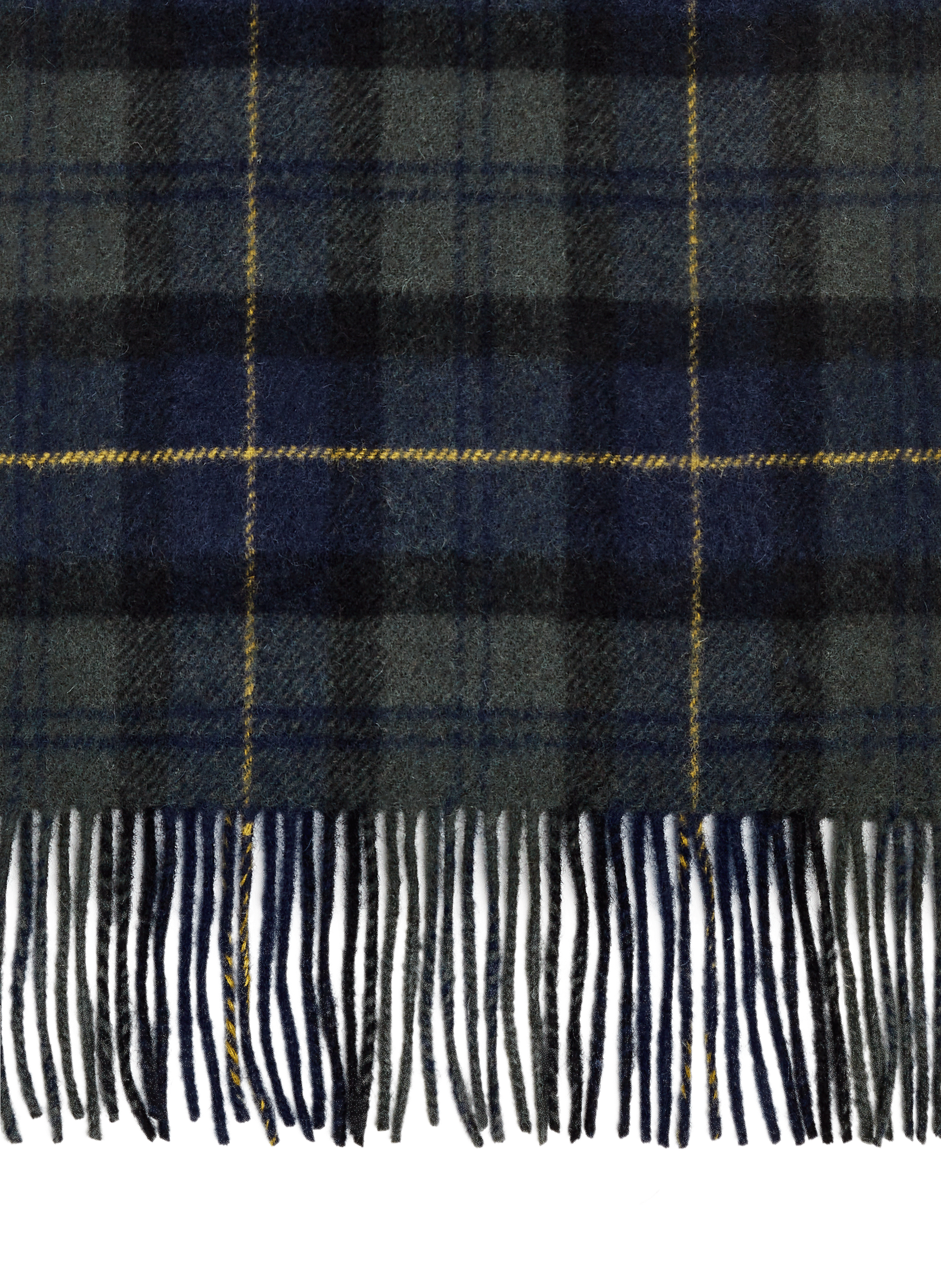 Tartan wool scarf  BARBOUR Multicolour