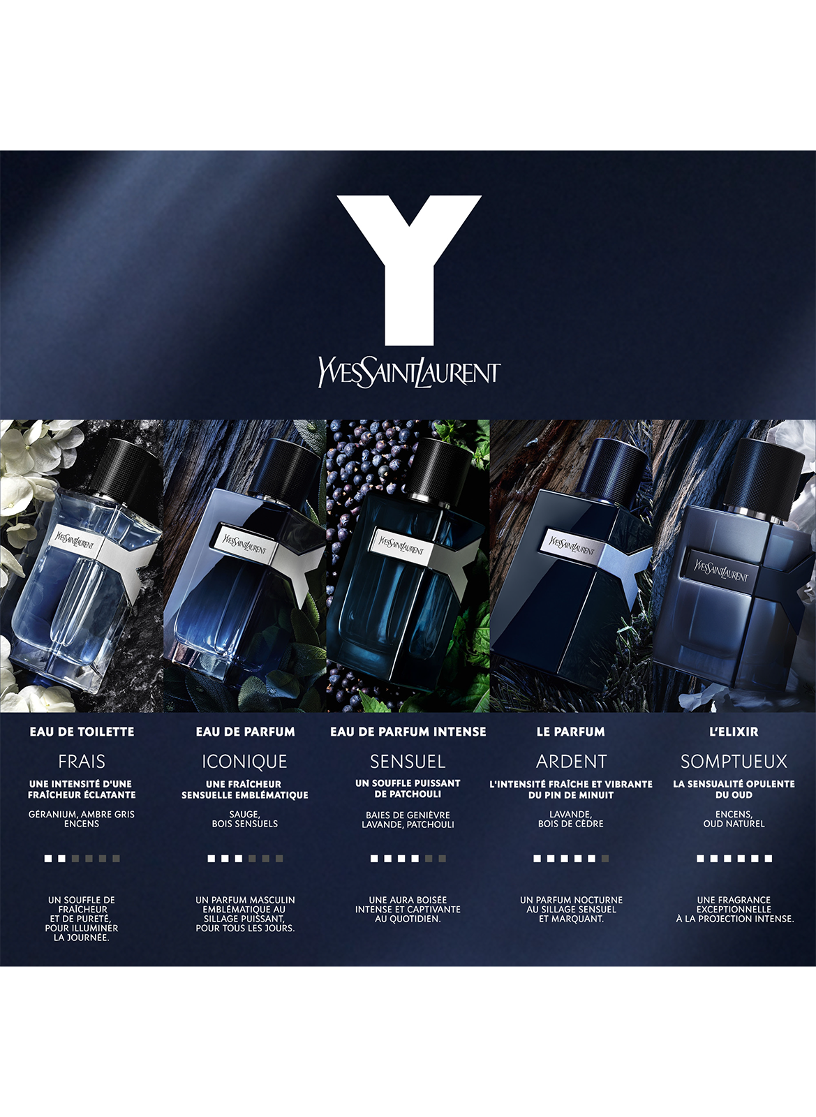 Y Amber Fougère Perfume for Men YVES SAINT LAURENT No color