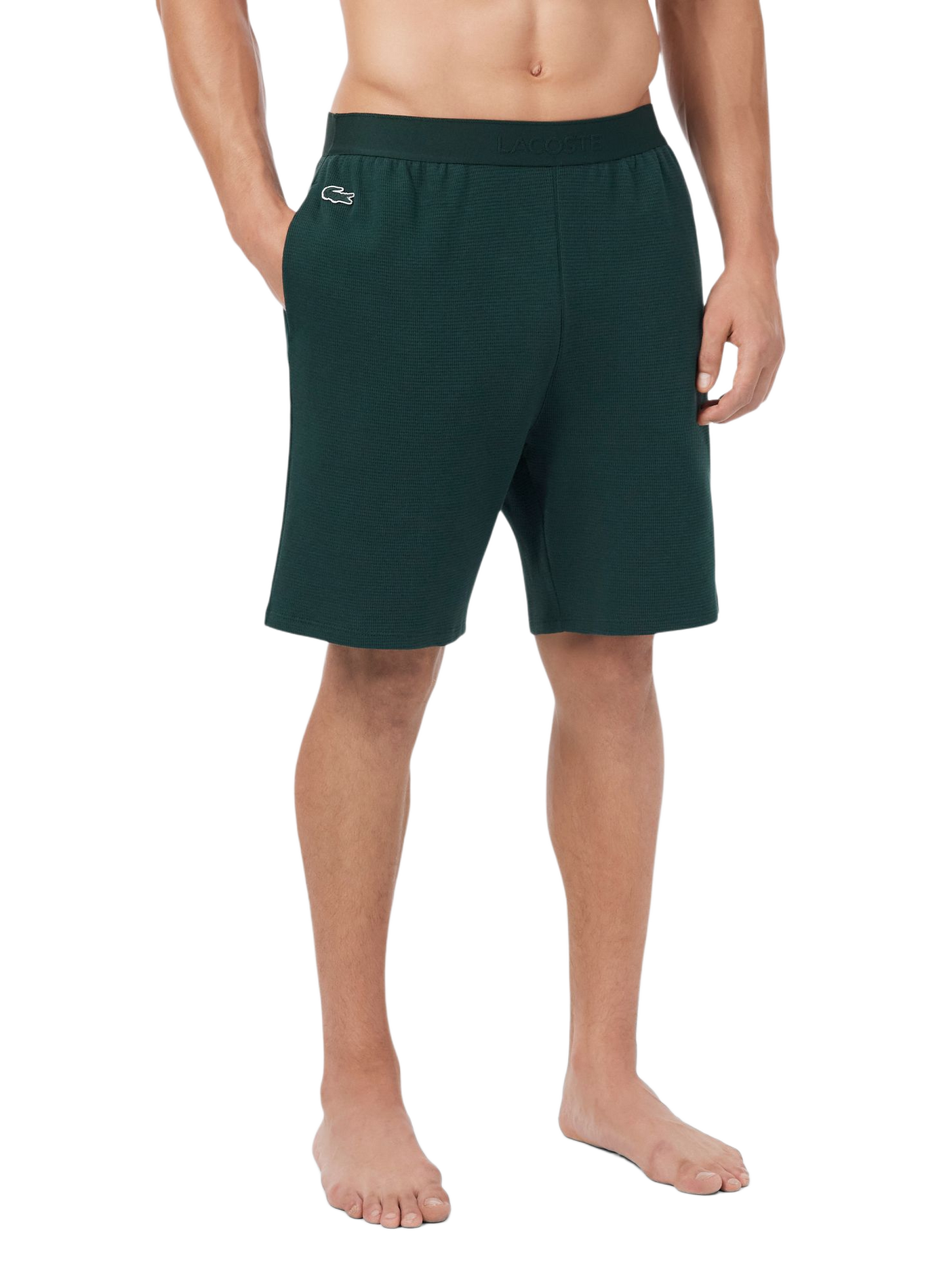 Rechte bermuda van katoen LACOSTE Groen