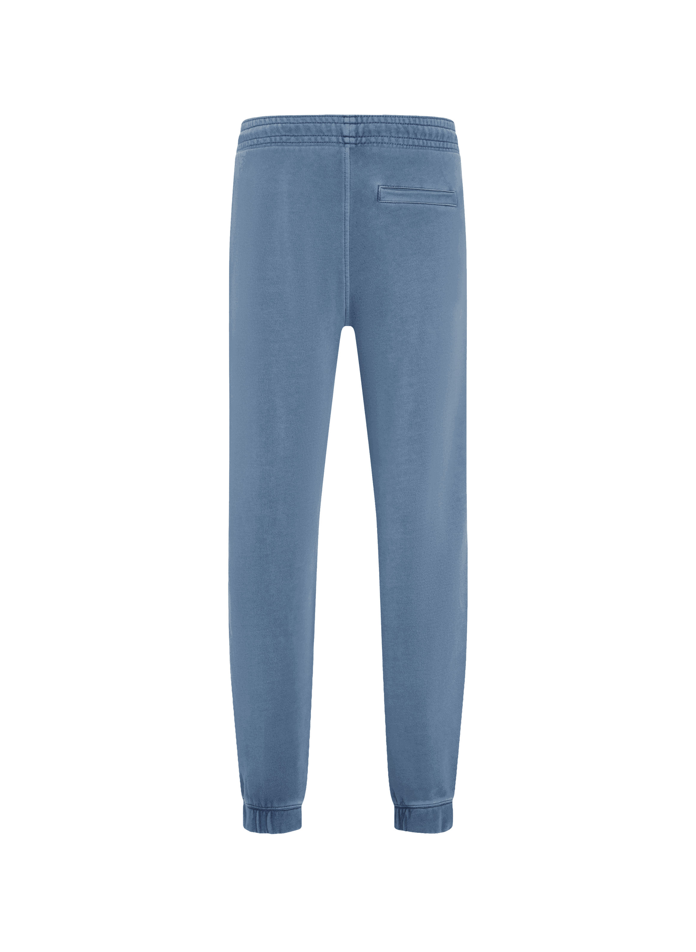 Pantalon de jogging Bleu