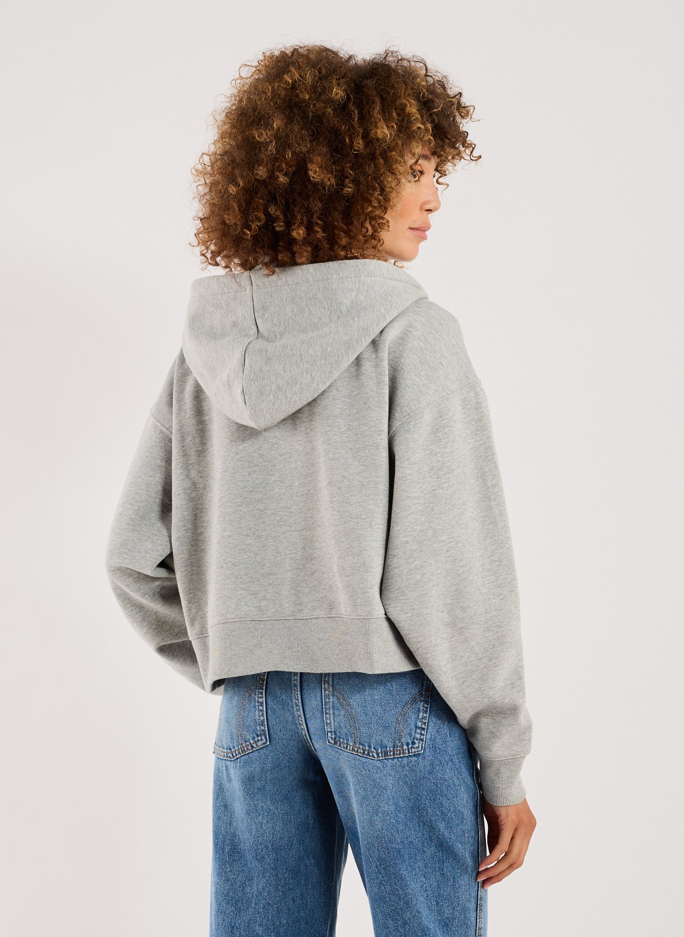 Hoodie in blended cotton DICKIES Grey