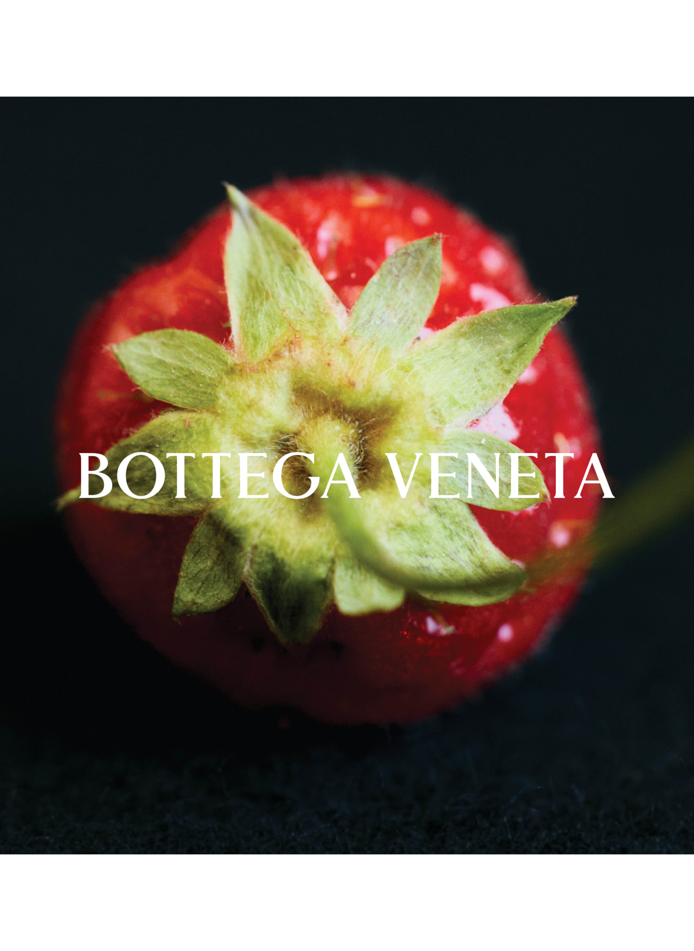 Guten Morgen Mitternacht - Parfüm BOTTEGA VENETA No color