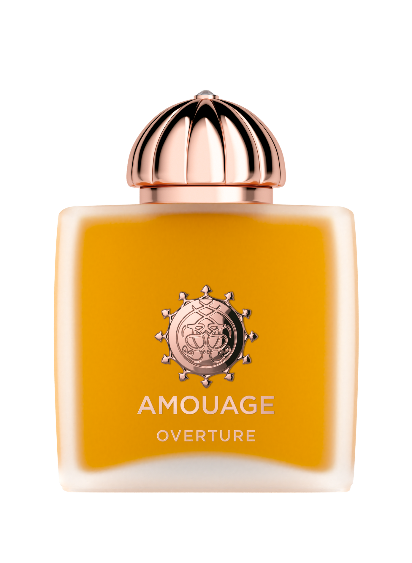 Overture Woman - Eau de parfum AMOUAGE No color