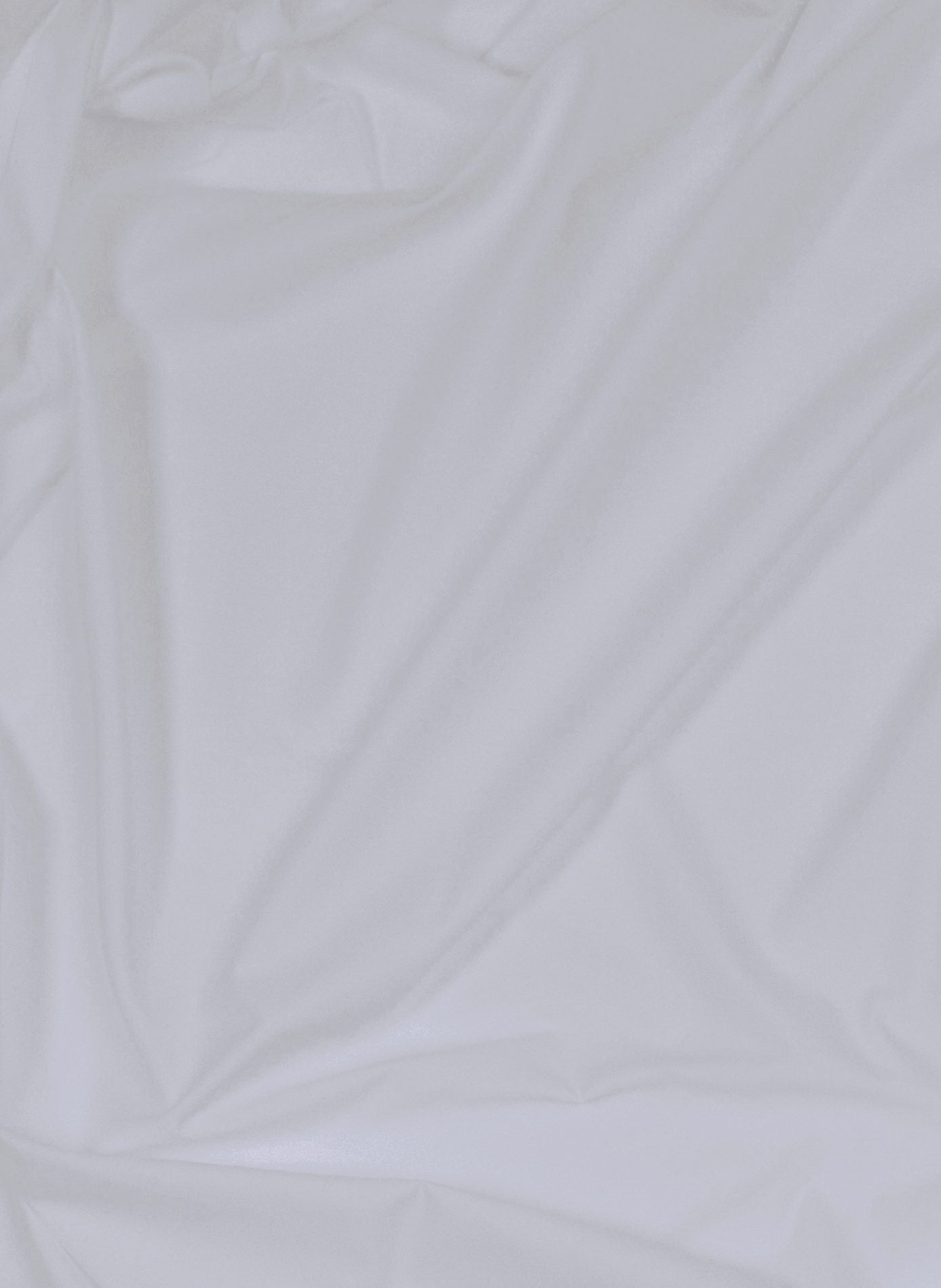 Flat sheet AU PRINTEMPS PARIS Silver