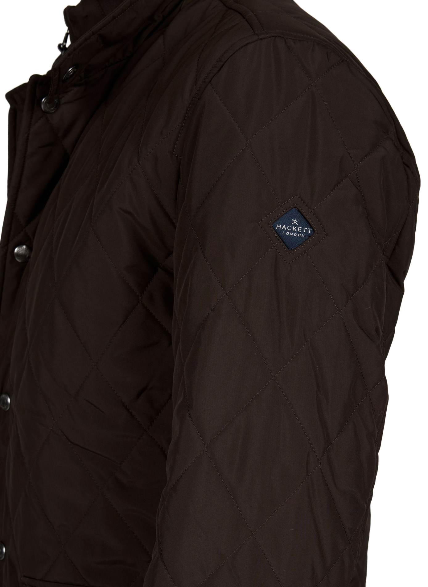 Gepolsterte Stehkragenjacke HACKETT Braun