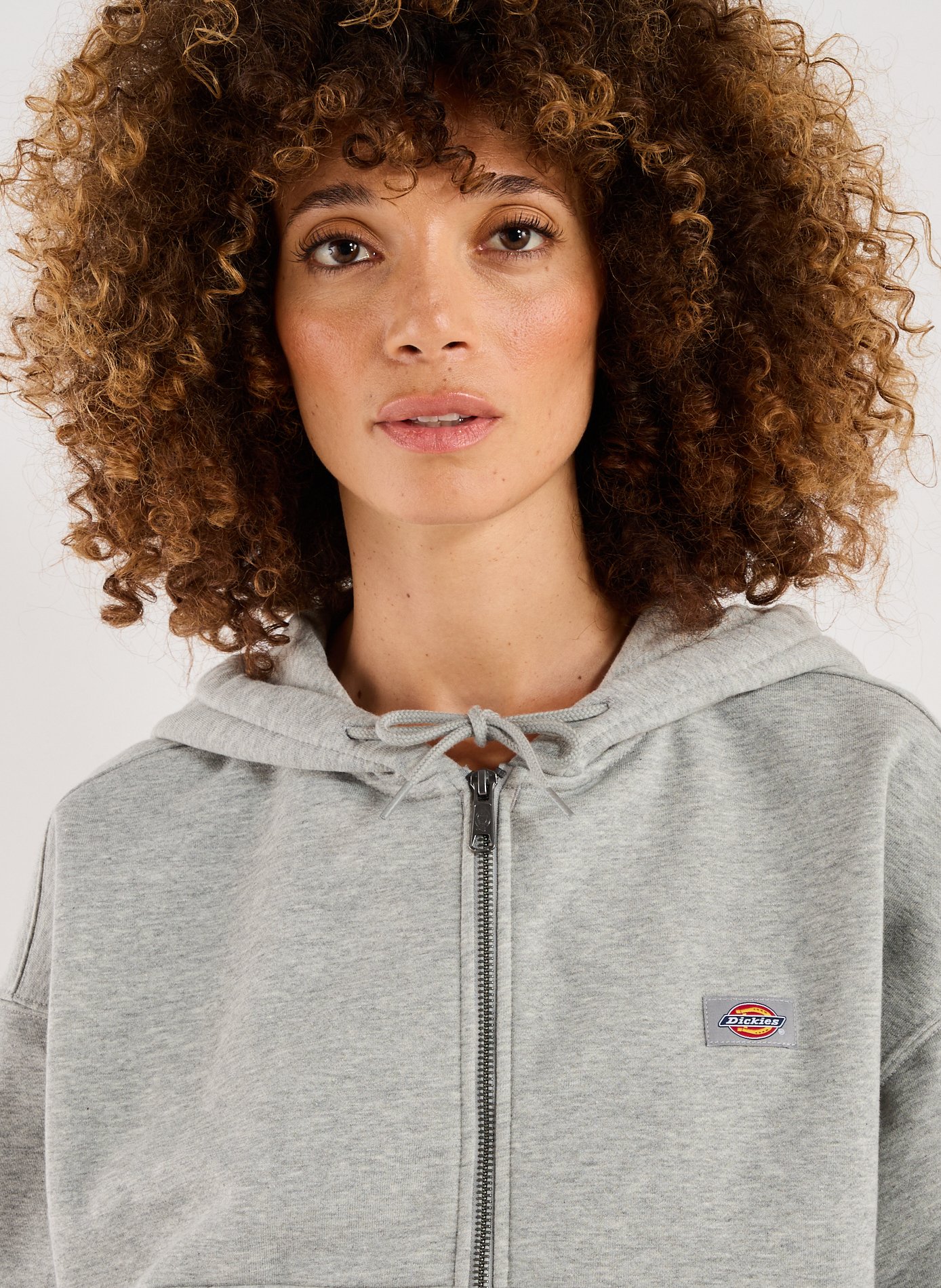 Hoodie in blended cotton DICKIES Grey