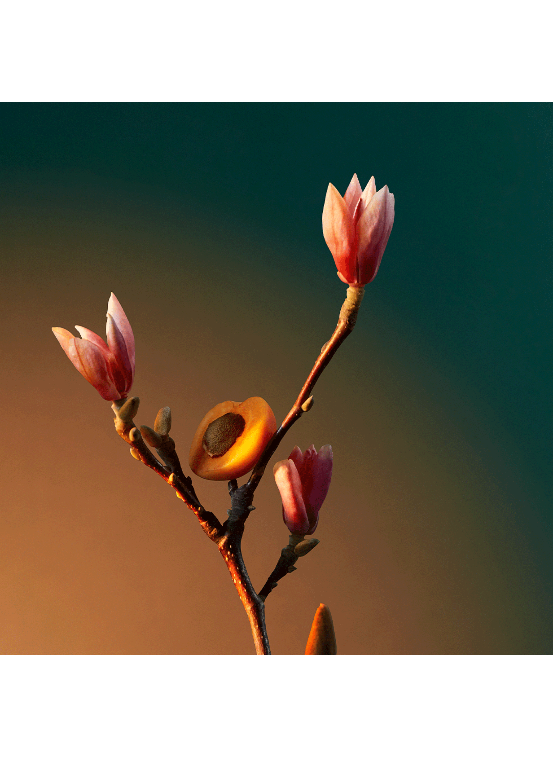 Eau de parfum - Vra Vra Vroom No color