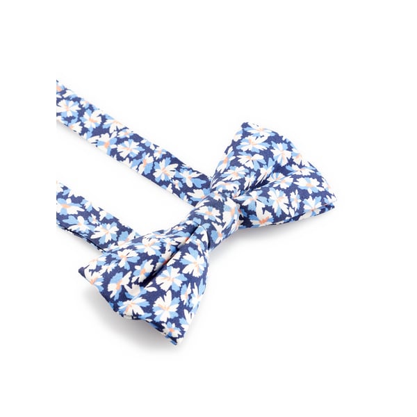Noeud papillon à imprimé en satin de soie