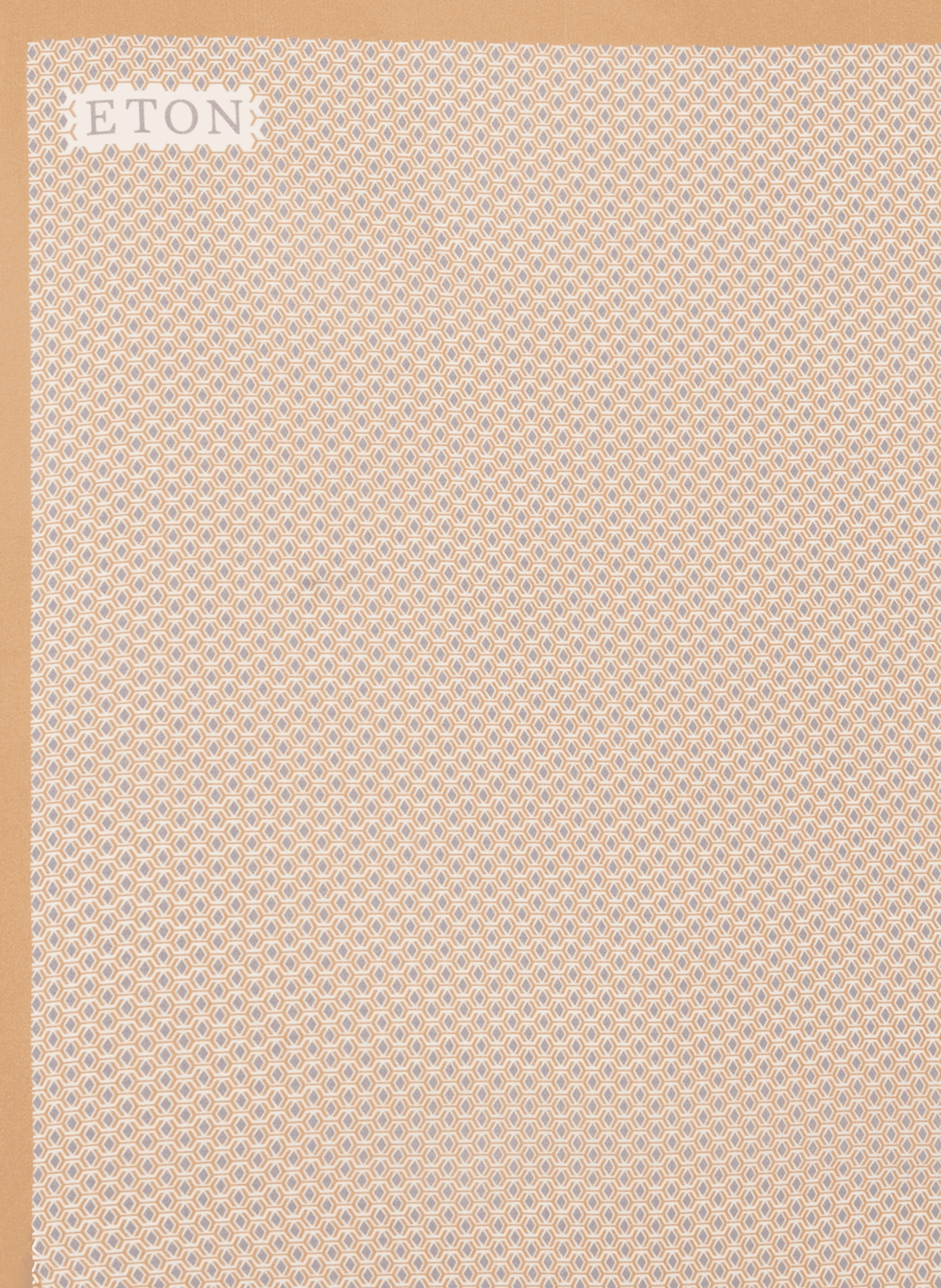 Printed silk floaty scarf ETON Beige